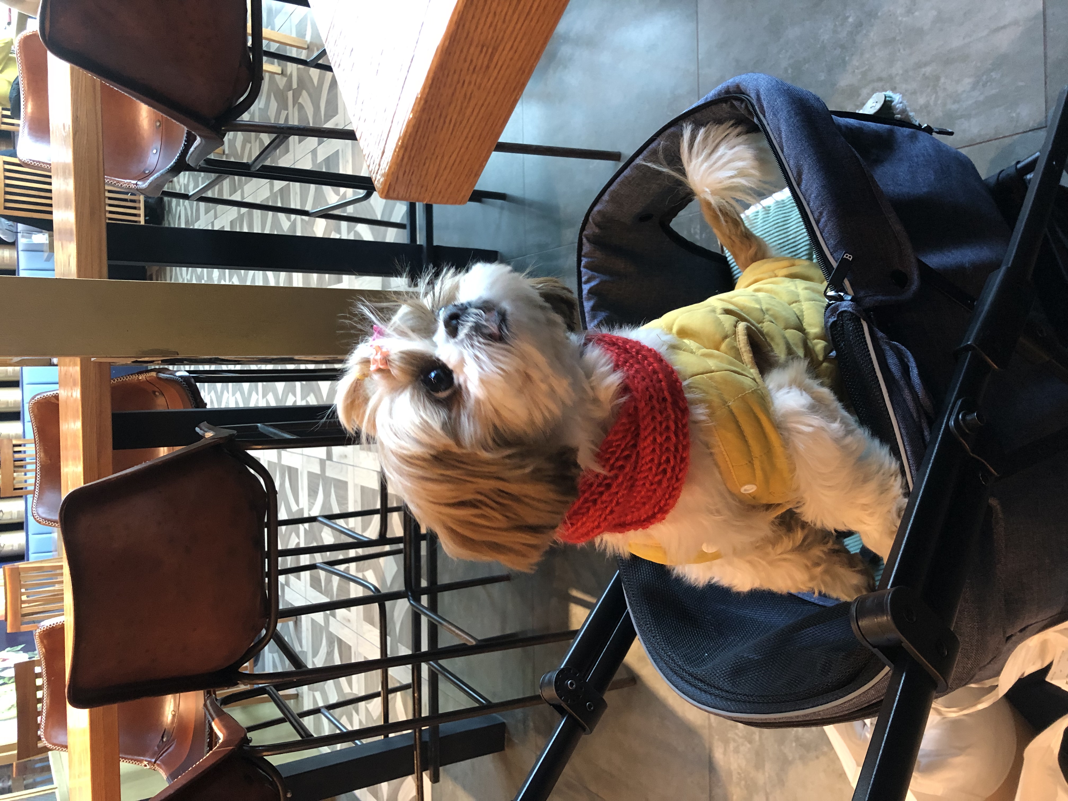 10개월째 사랑 받는 천진이 입니다:D