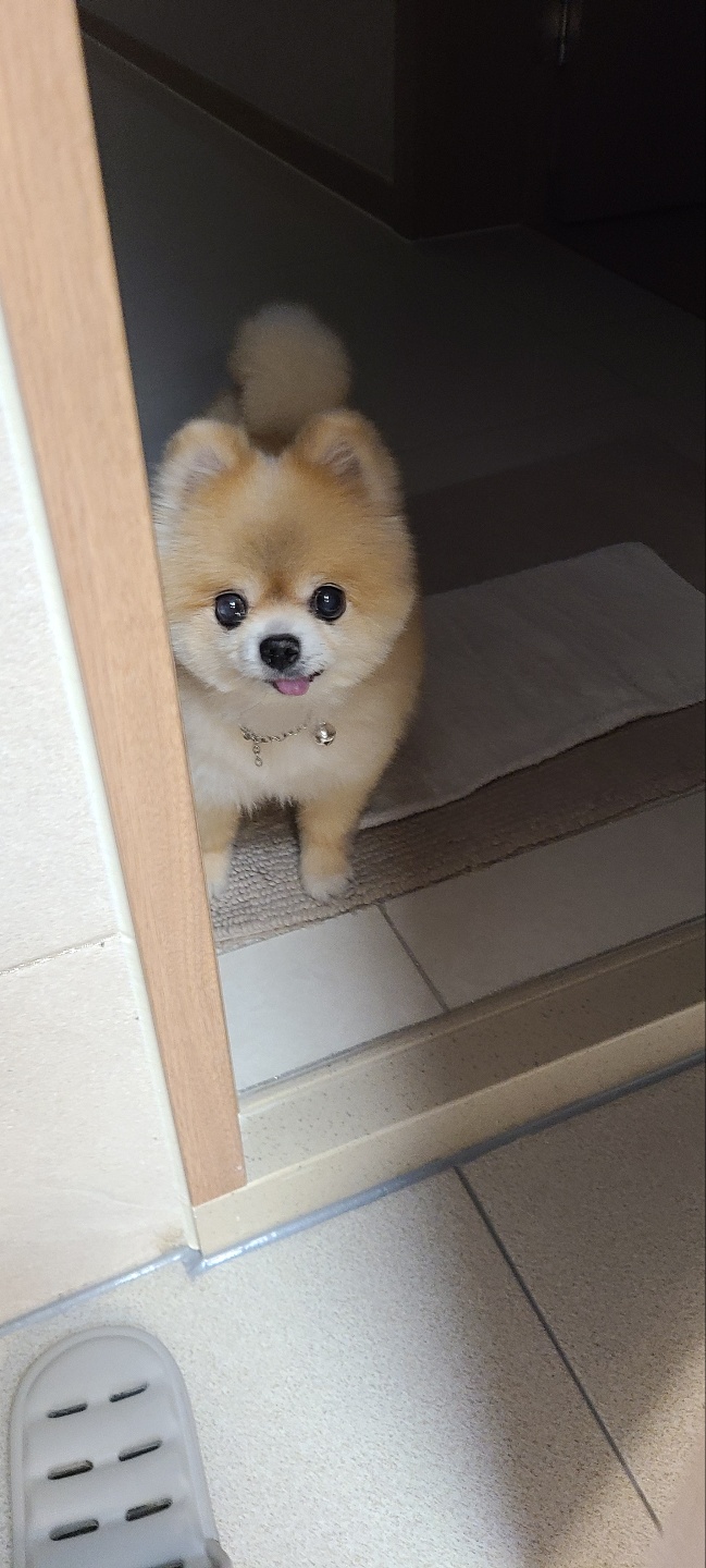 오랜만에 티아 인사올립니당