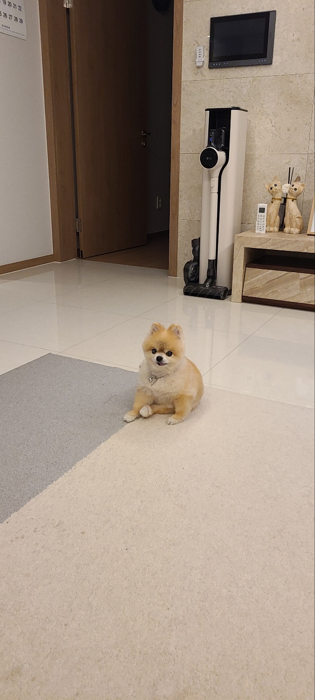 오랜만에 티아 인사올립니당