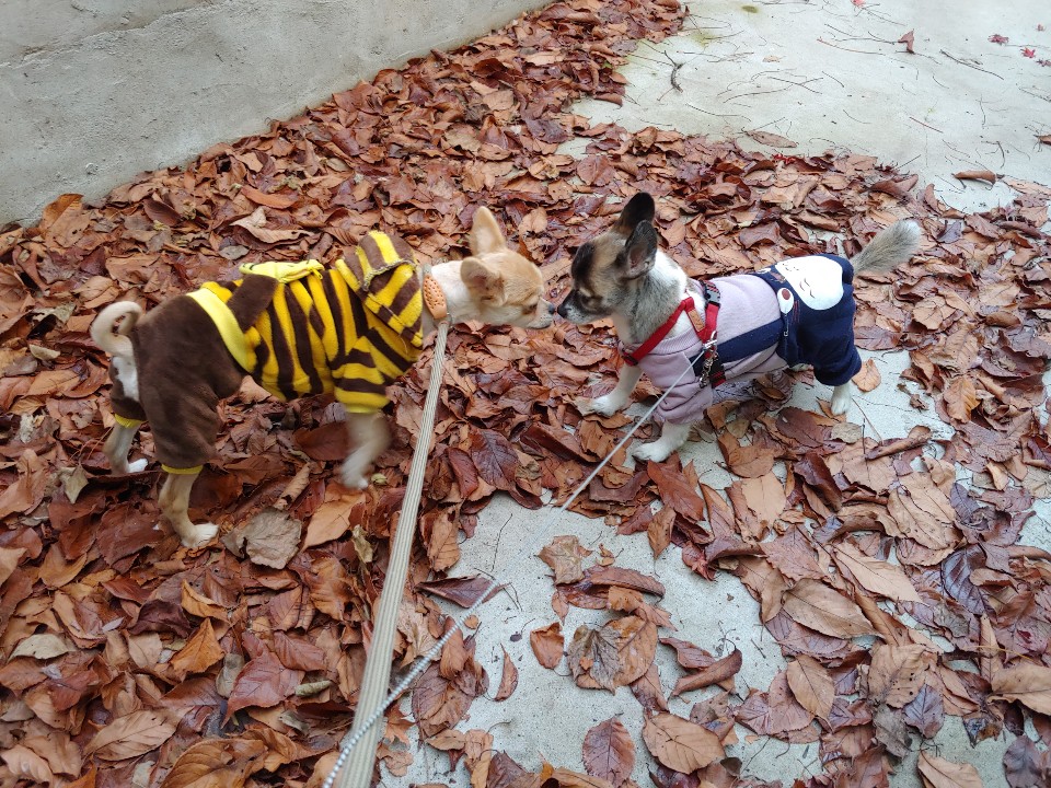 미로(구 오원) 3개월 이야기