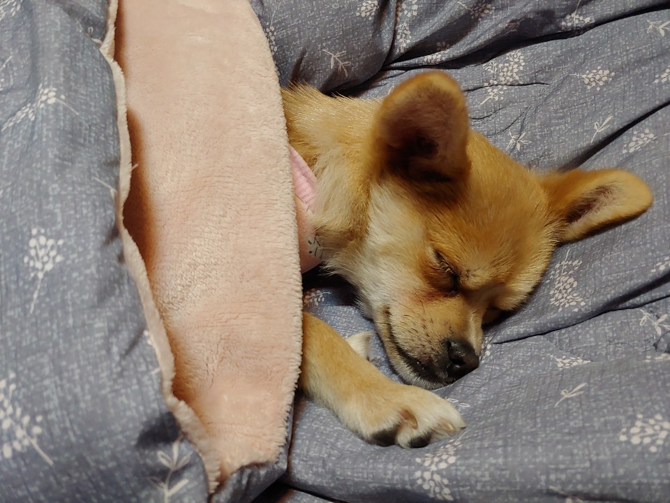 미로(구 오원) 3개월 이야기