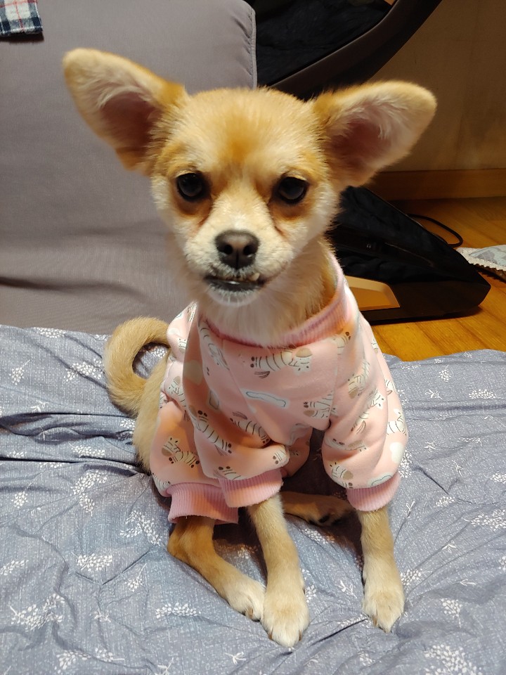 미로(구 오원) 3개월 이야기