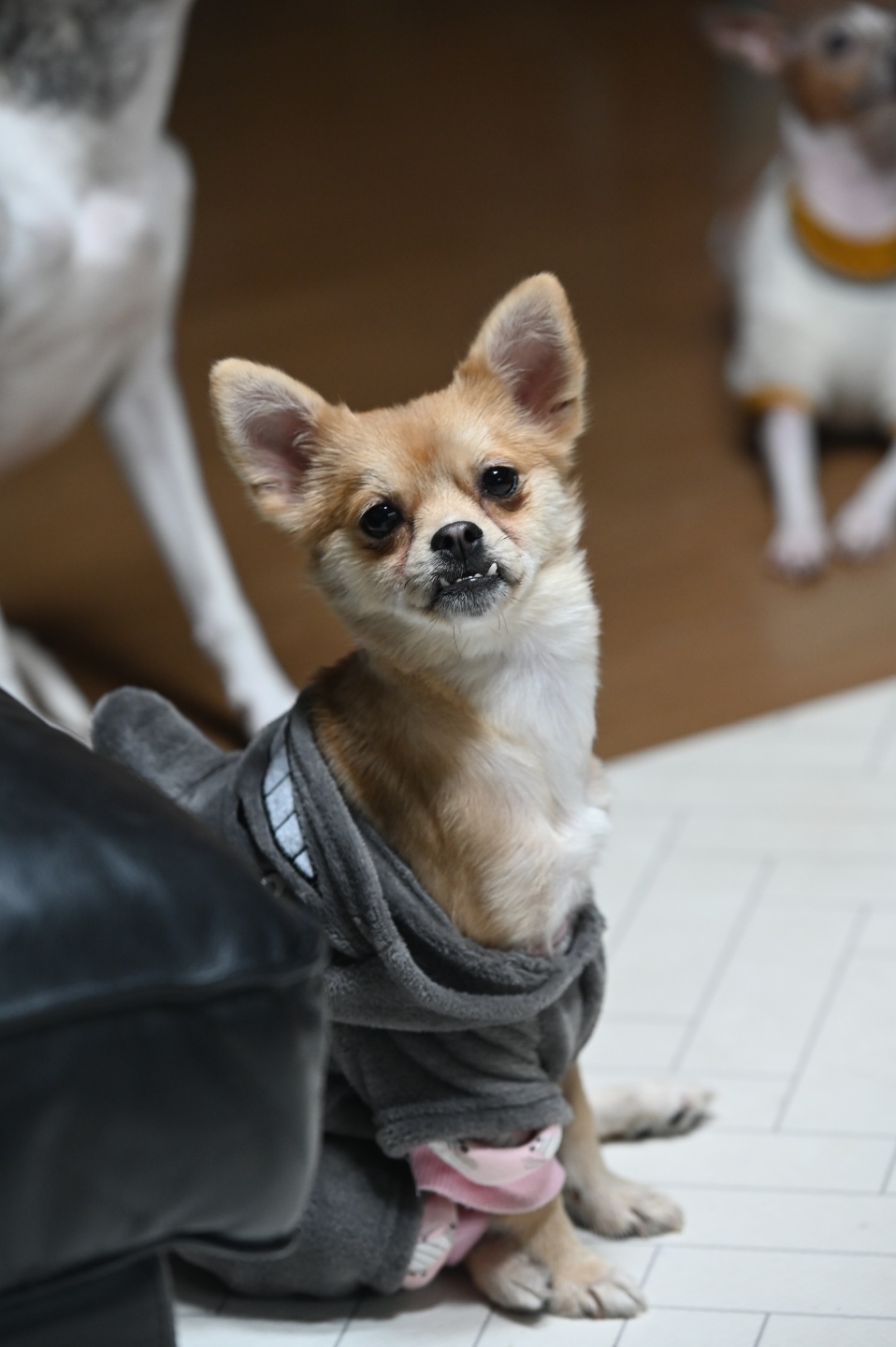 미로(구 오원) 3개월 이야기