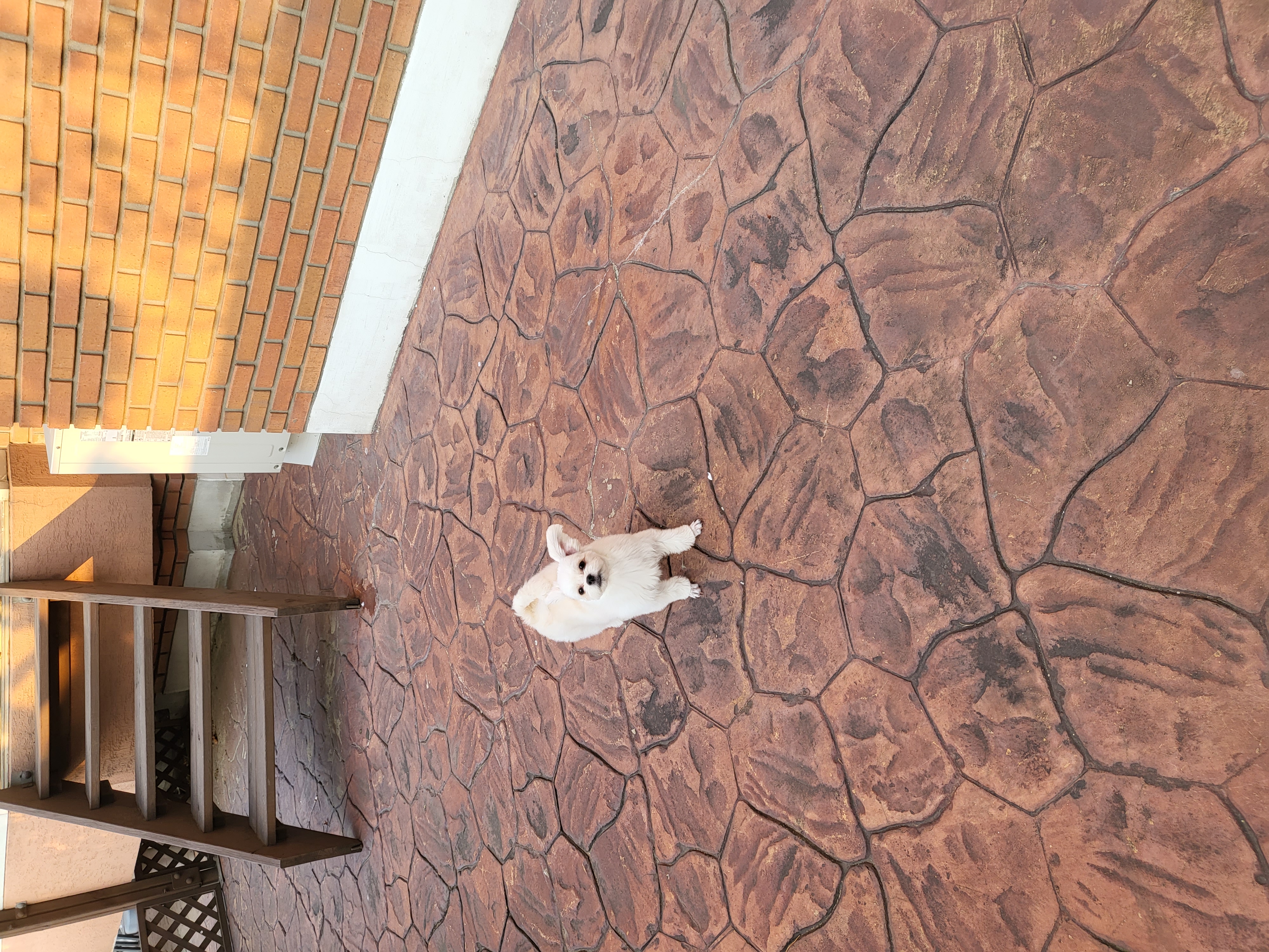 샤넬 사진 첨가