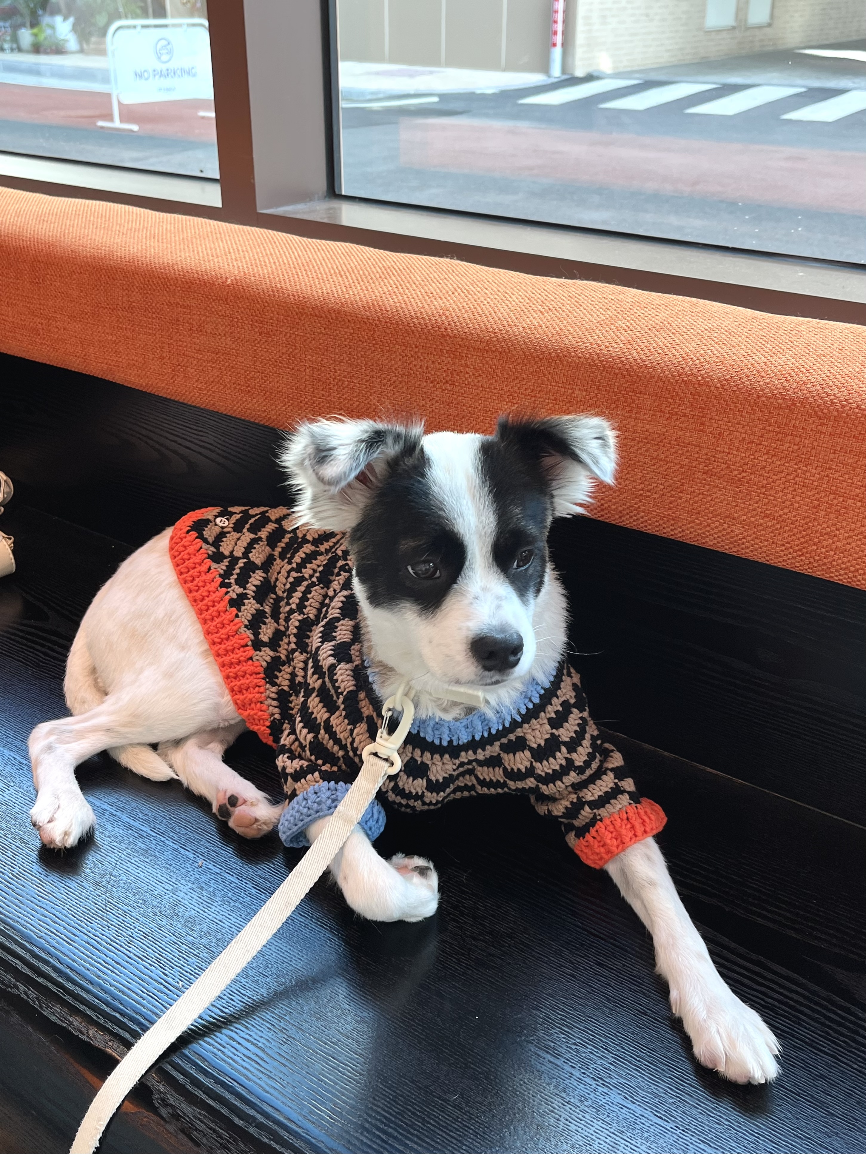 레오 근황이에요~(오래)