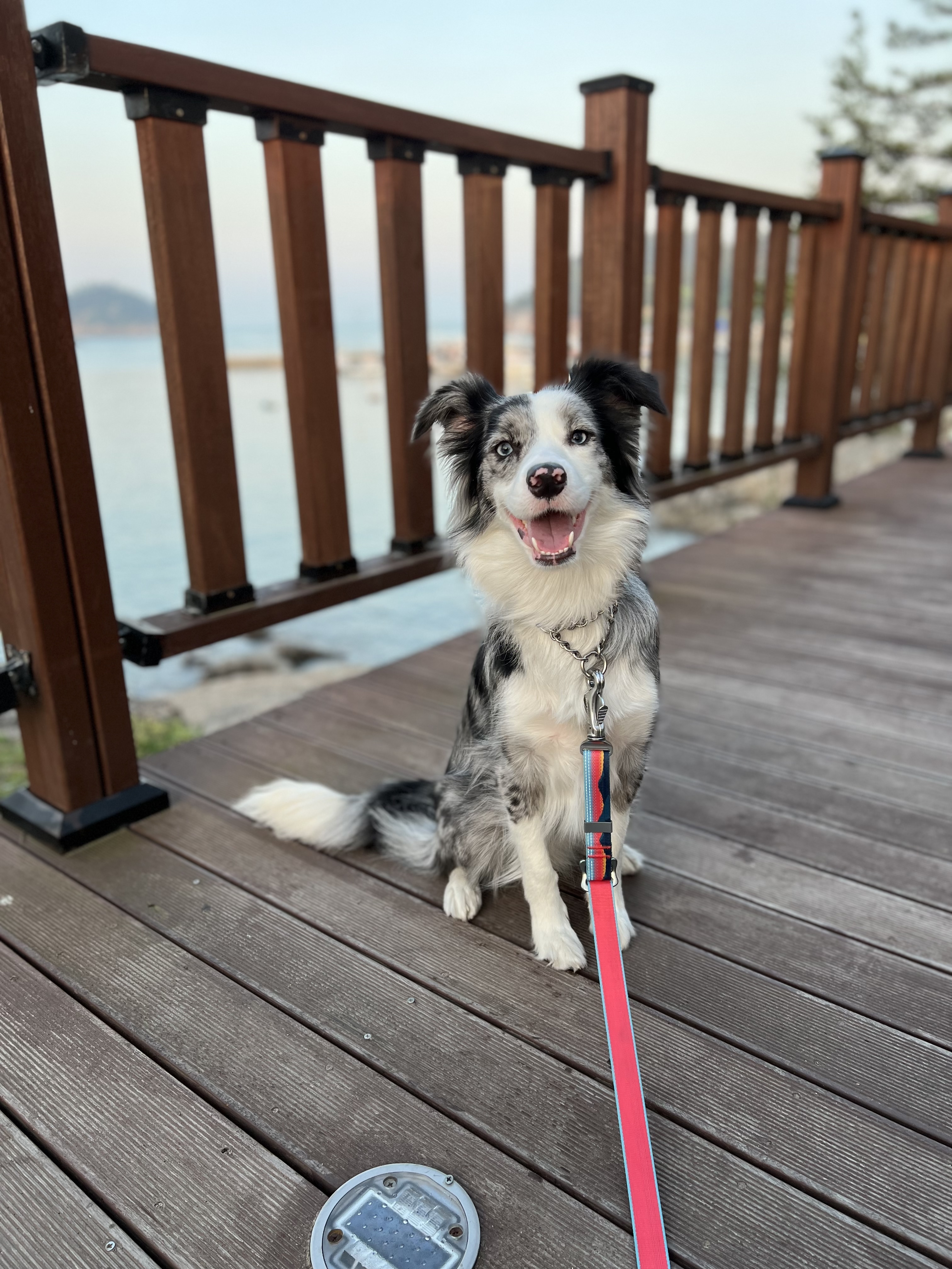 샤인이와 벌써 2년