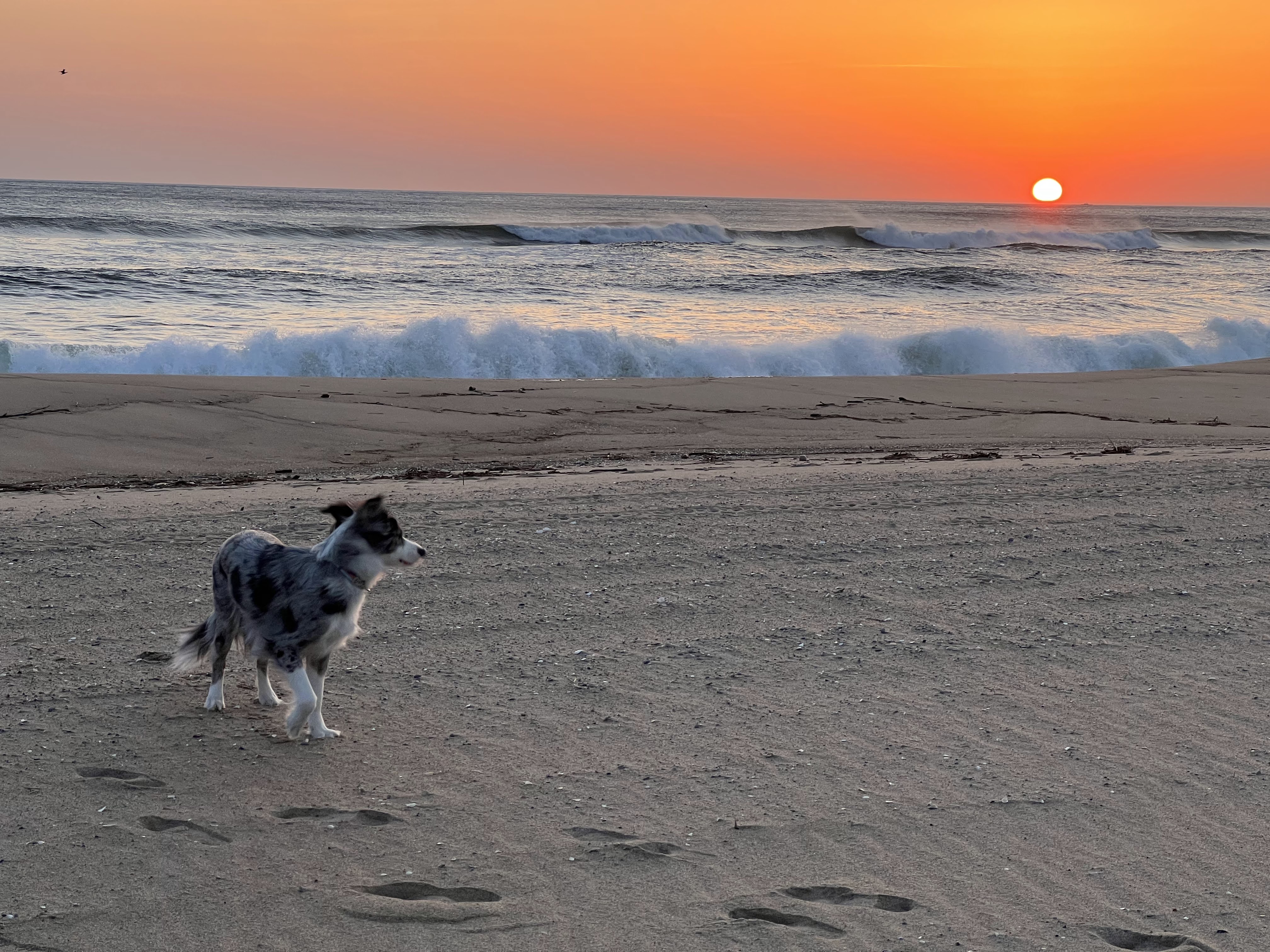 샤인이와 벌써 2년