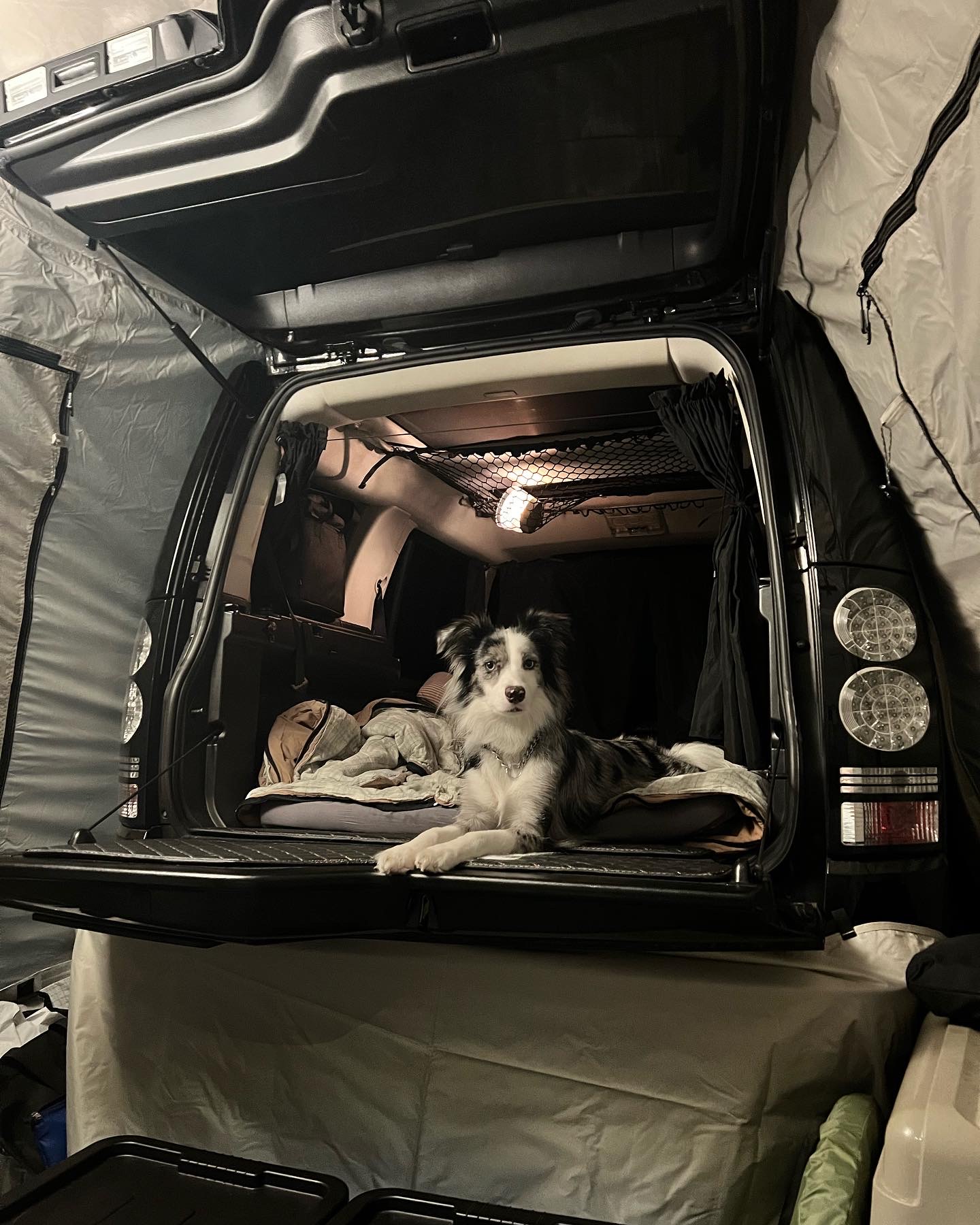 샤인이와 벌써 2년