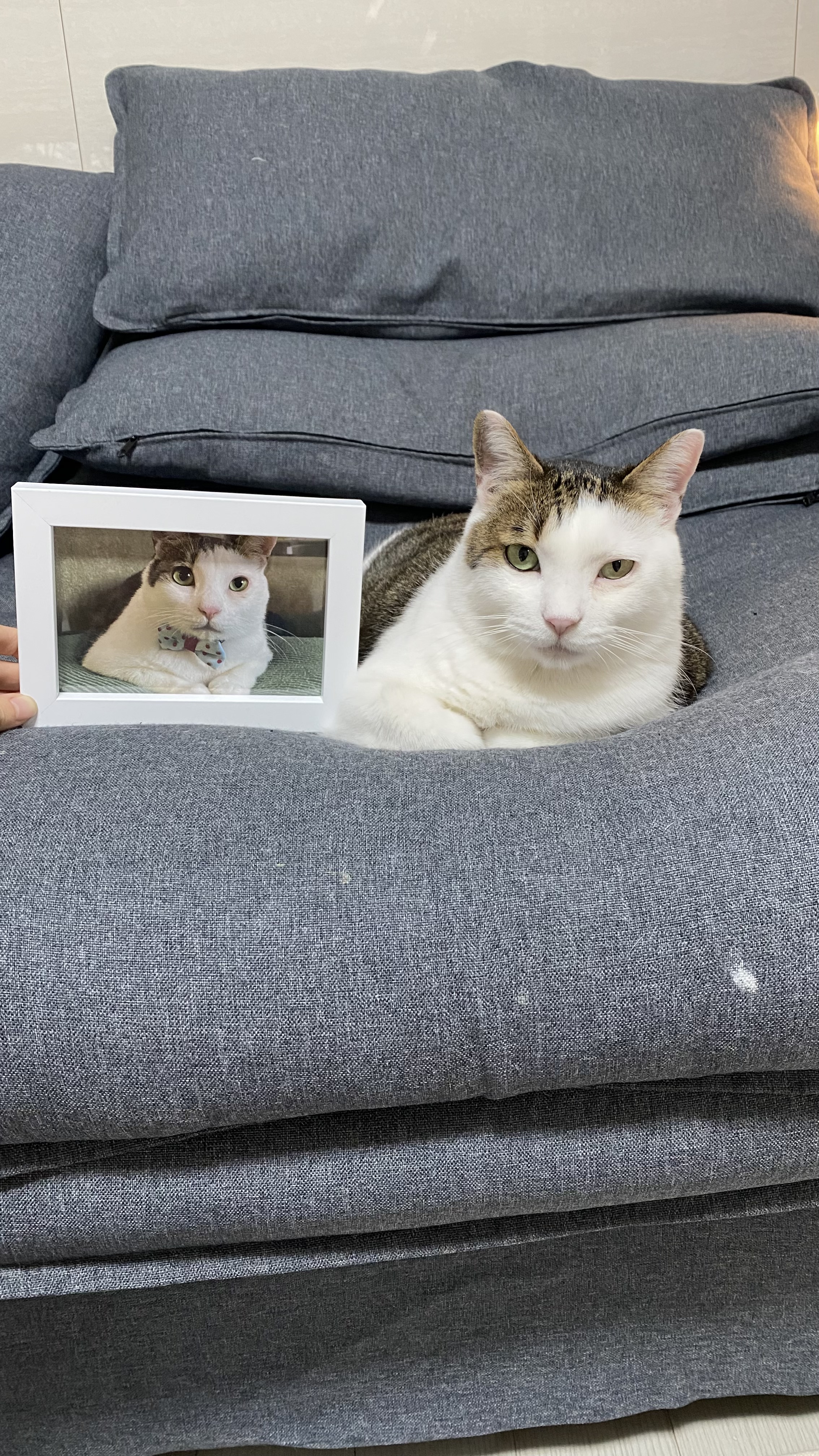 서창이의 입양일지3