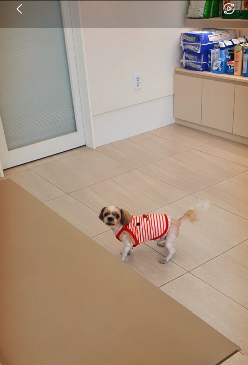 우리 강세 기억하시는 분 계시면, 강세 보러 오세요^0^