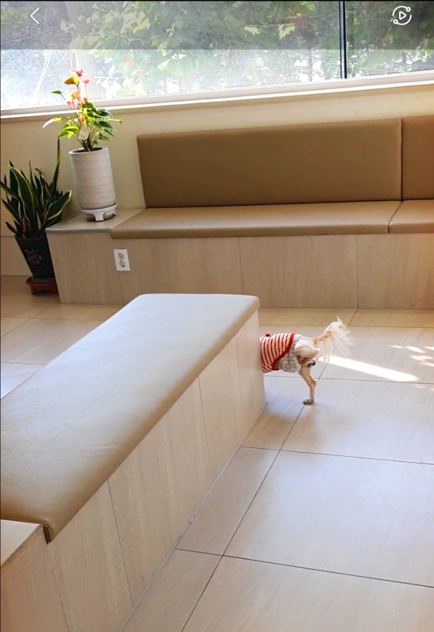 우리 강세 기억하시는 분 계시면, 강세 보러 오세요^0^