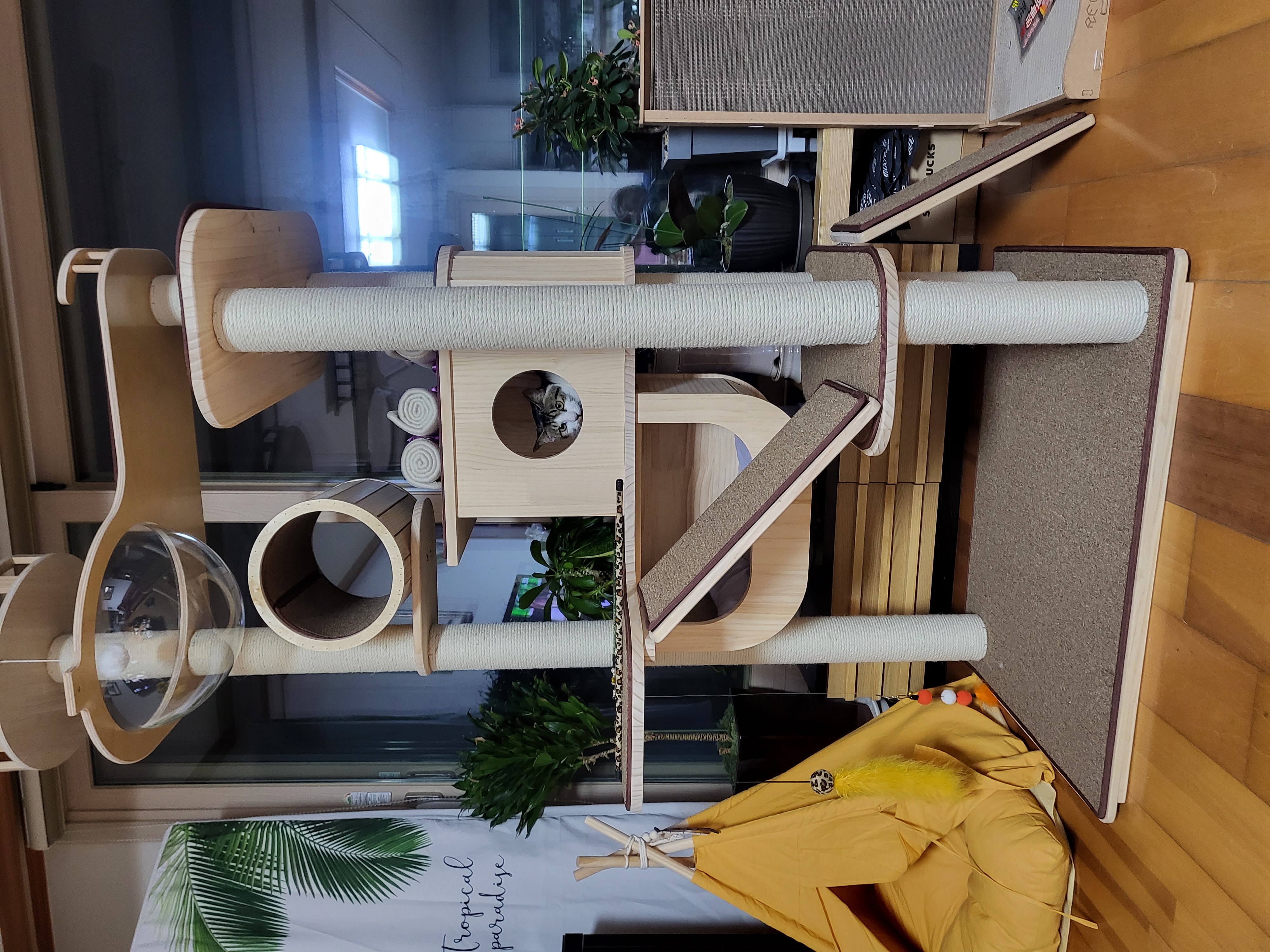 해성이에서 탄이로