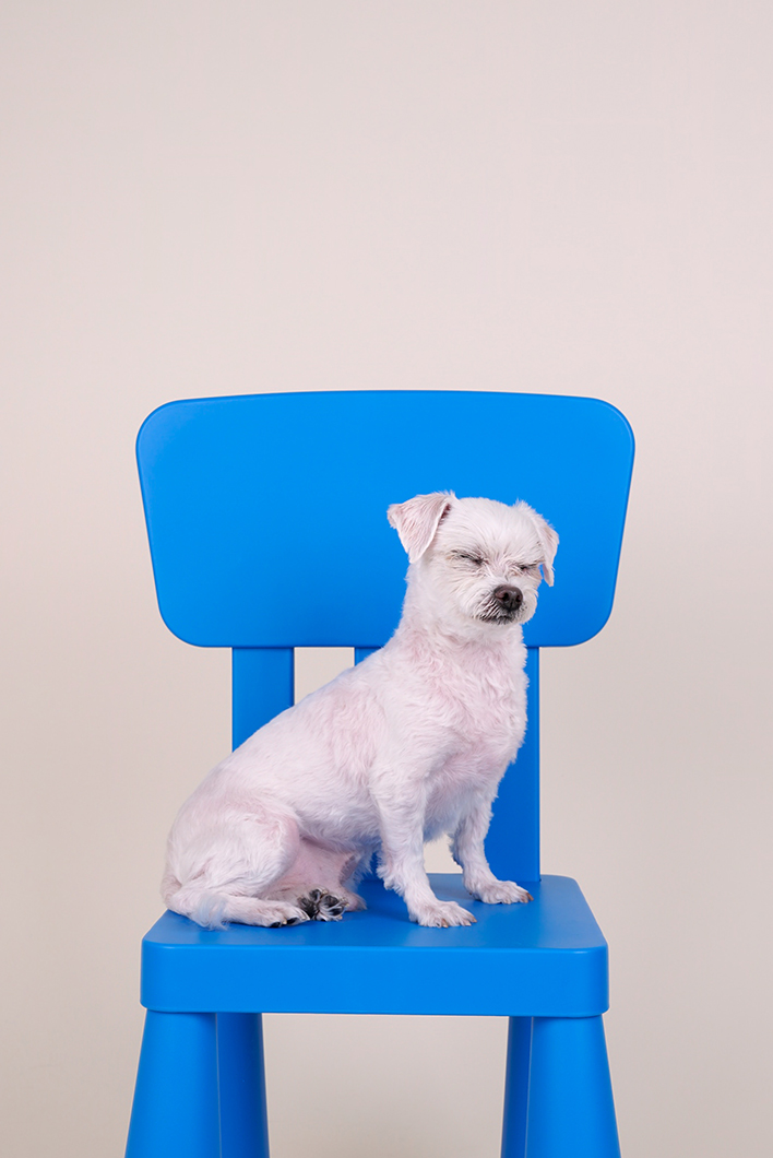 구 둘리 현 둥실 입양 후기입니다!