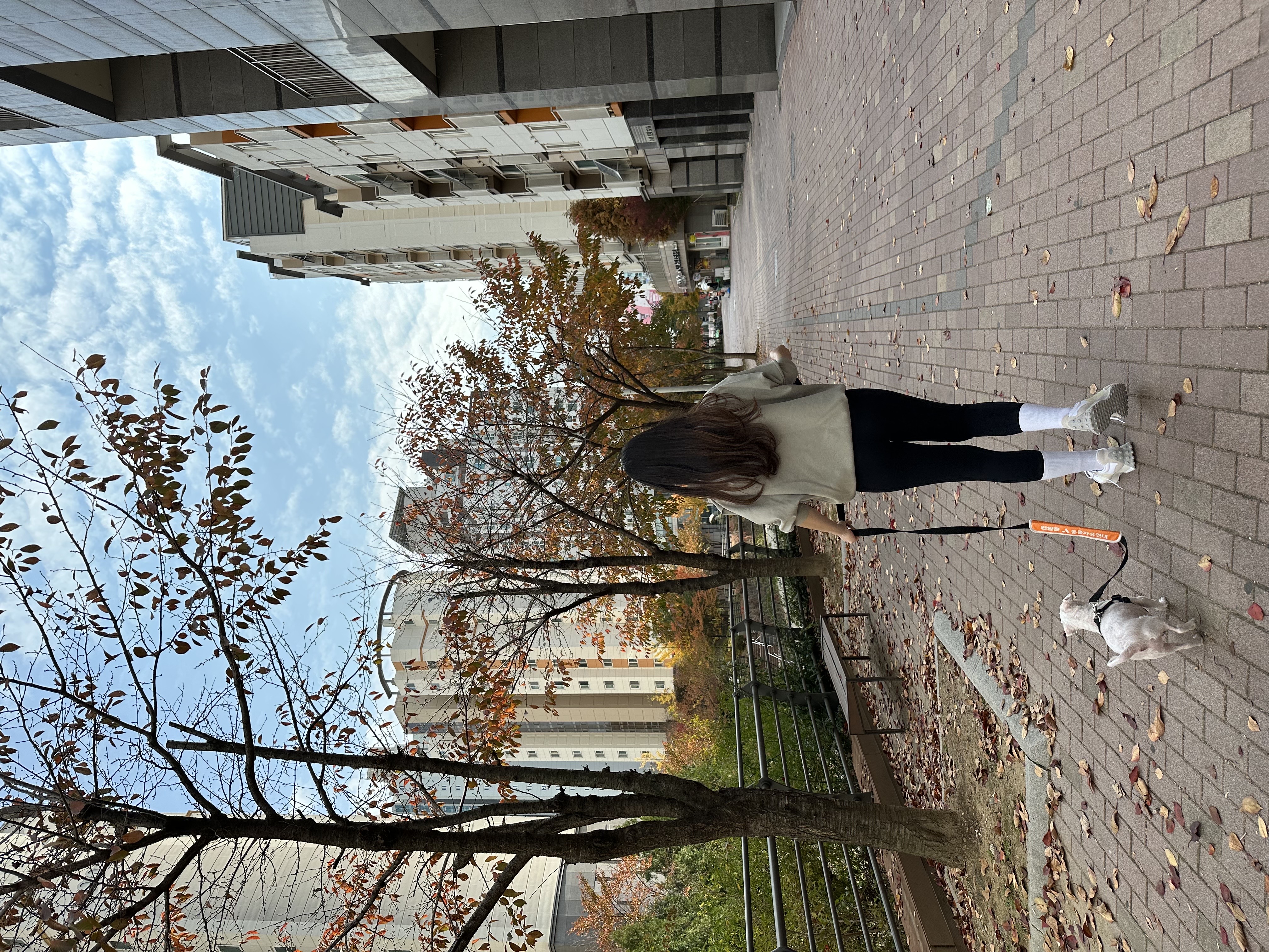 구 둘리 현 둥실 입양 후기입니다!