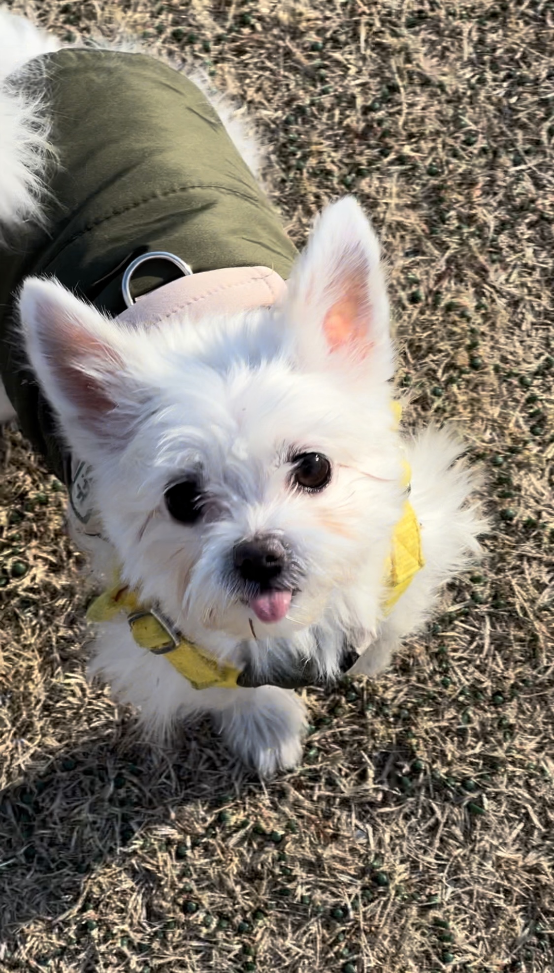 나희(현:아름이)입니다~~~