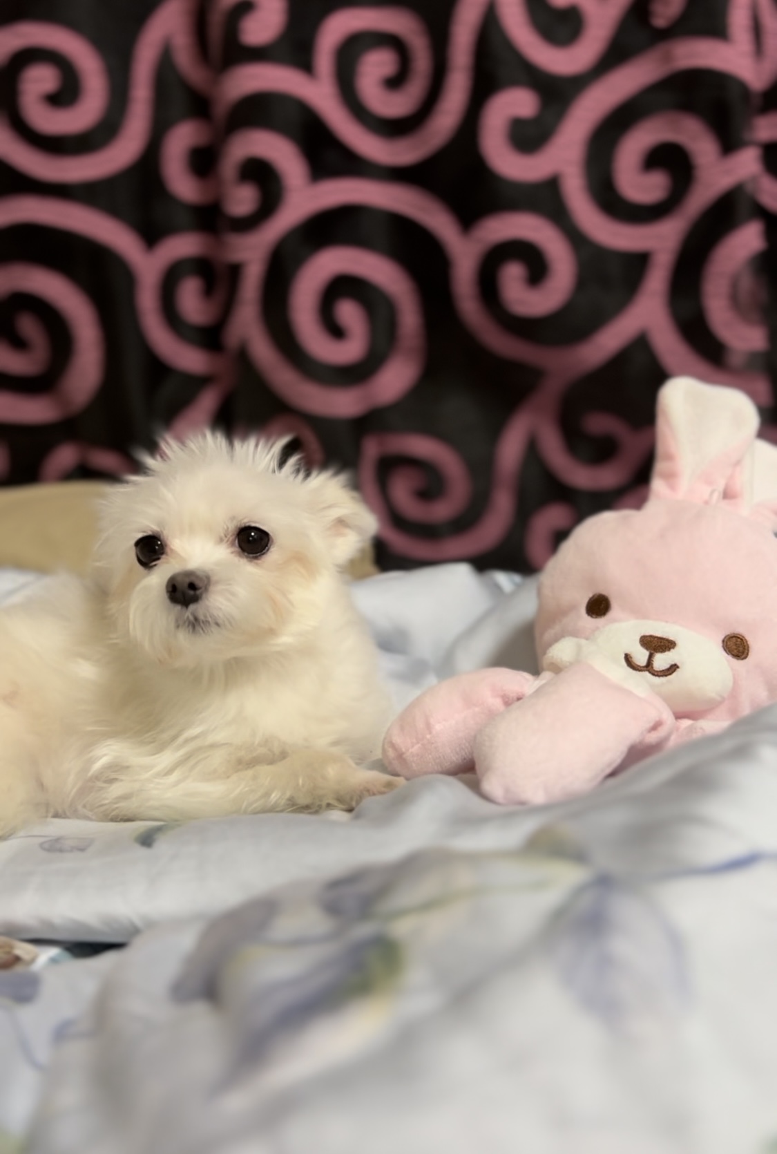 나희(현:아름이)입니다~~~