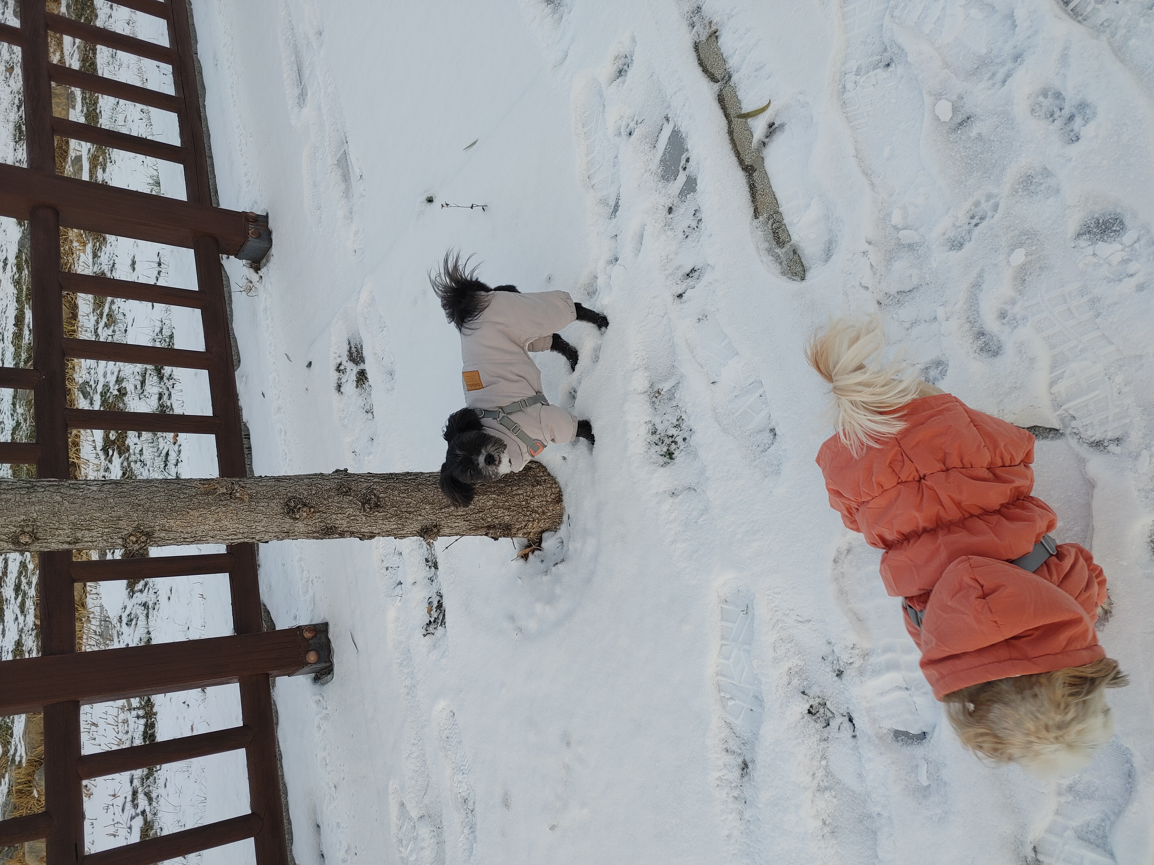 깡이와 승이(타타와 탱숙이)