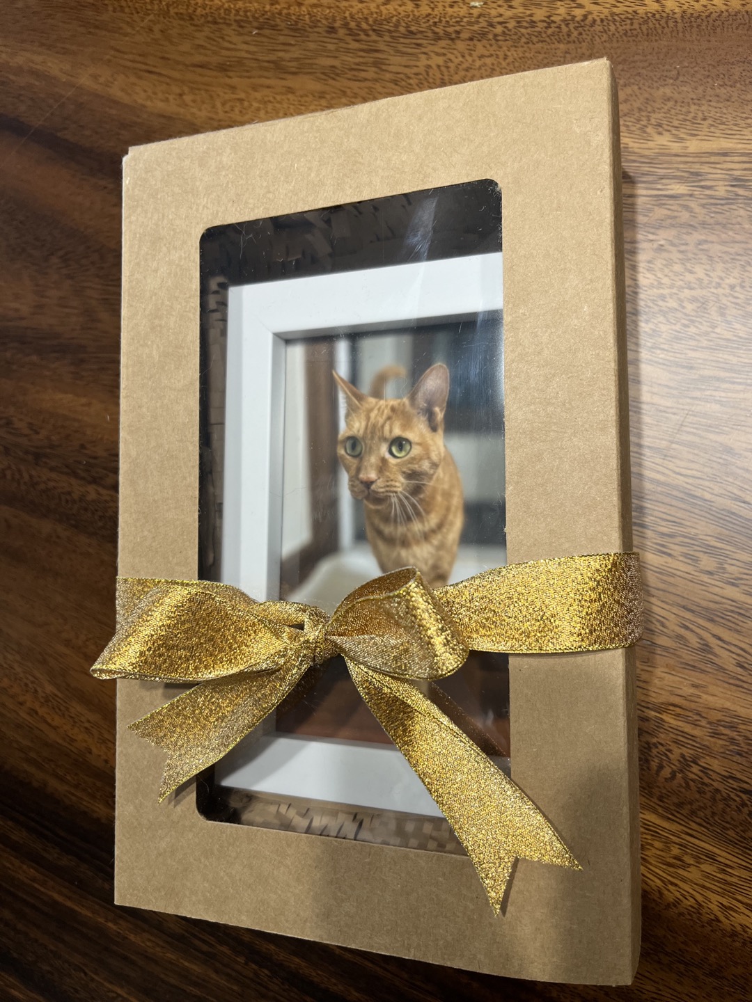 용식이 잘 지내고 있어요.