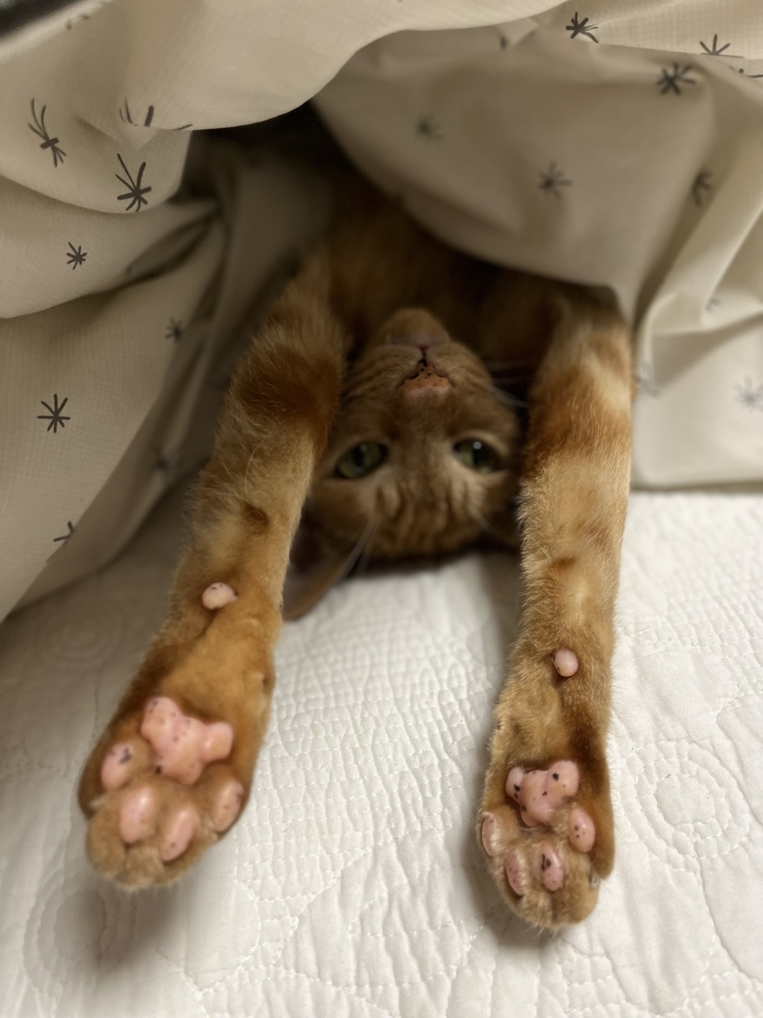 용식이 잘 지내고 있어요.