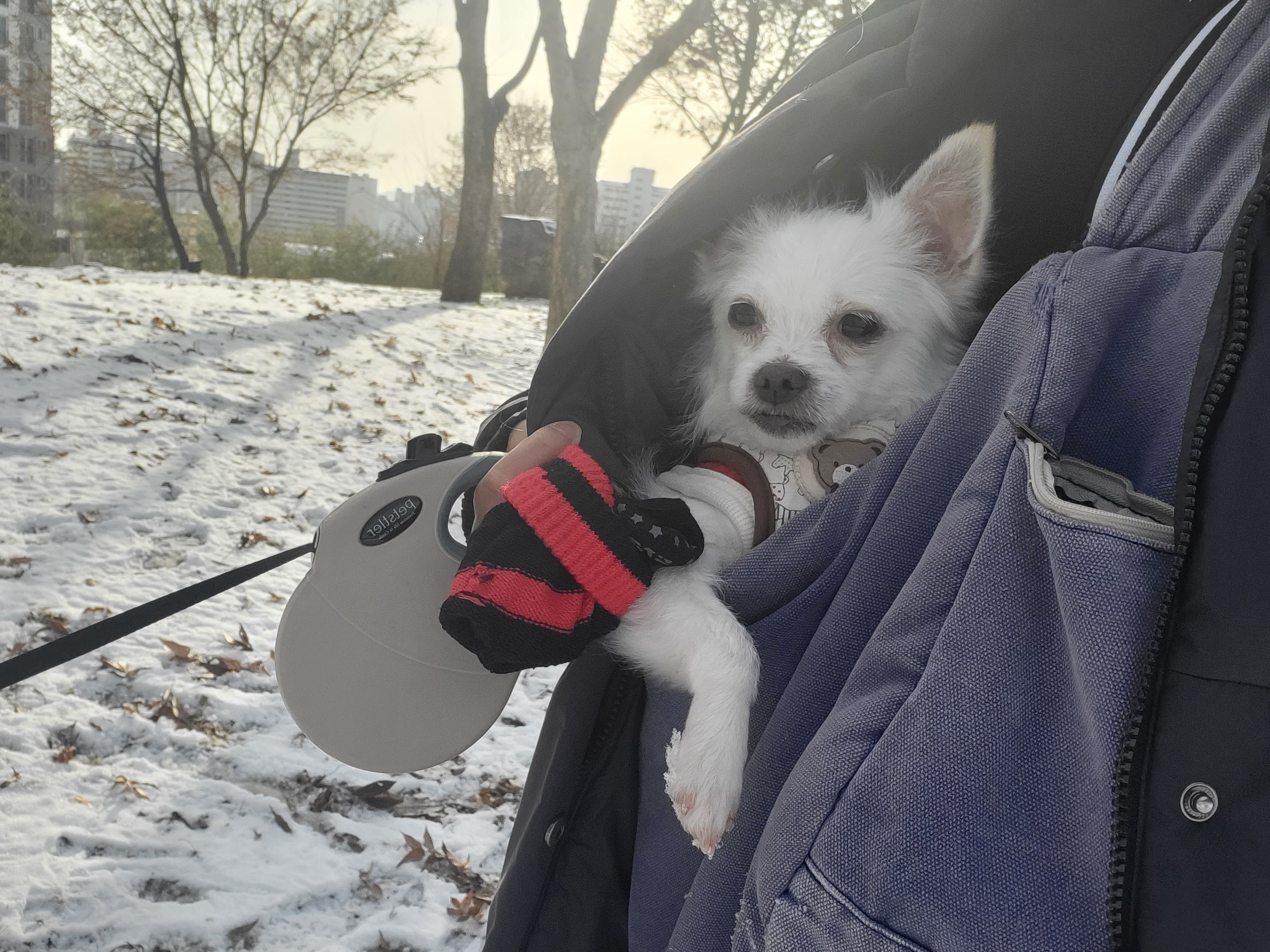 설희(오투)와의 8일째 풋풋한 동거(임보이야기)