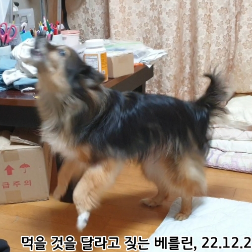 오랜만에 베를린 소식입니다