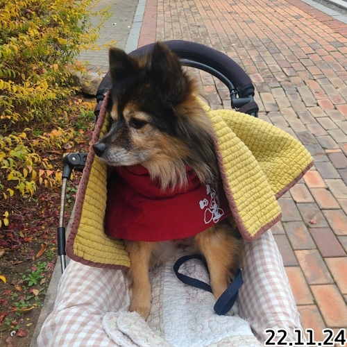 오랜만에 베를린 소식입니다