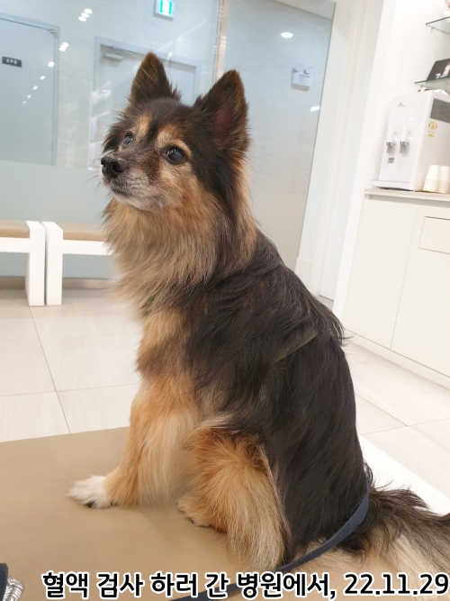 오랜만에 베를린 소식입니다