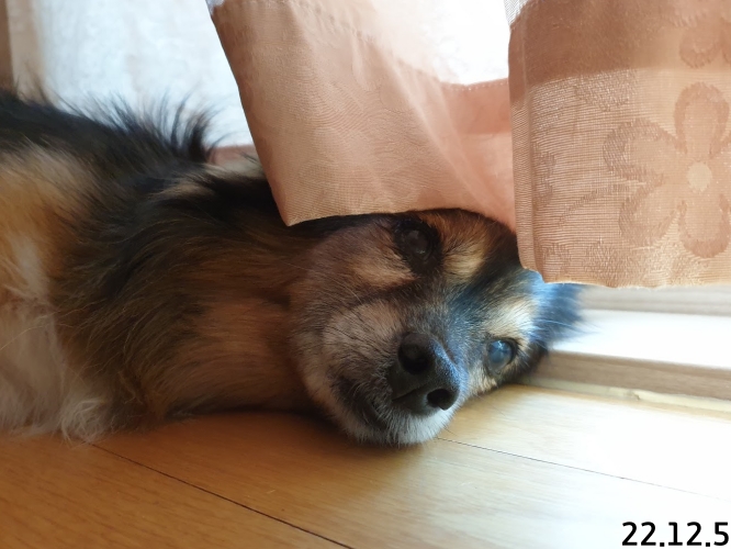 오랜만에 베를린 소식입니다