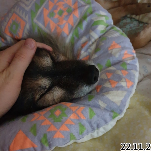 오랜만에 베를린 소식입니다