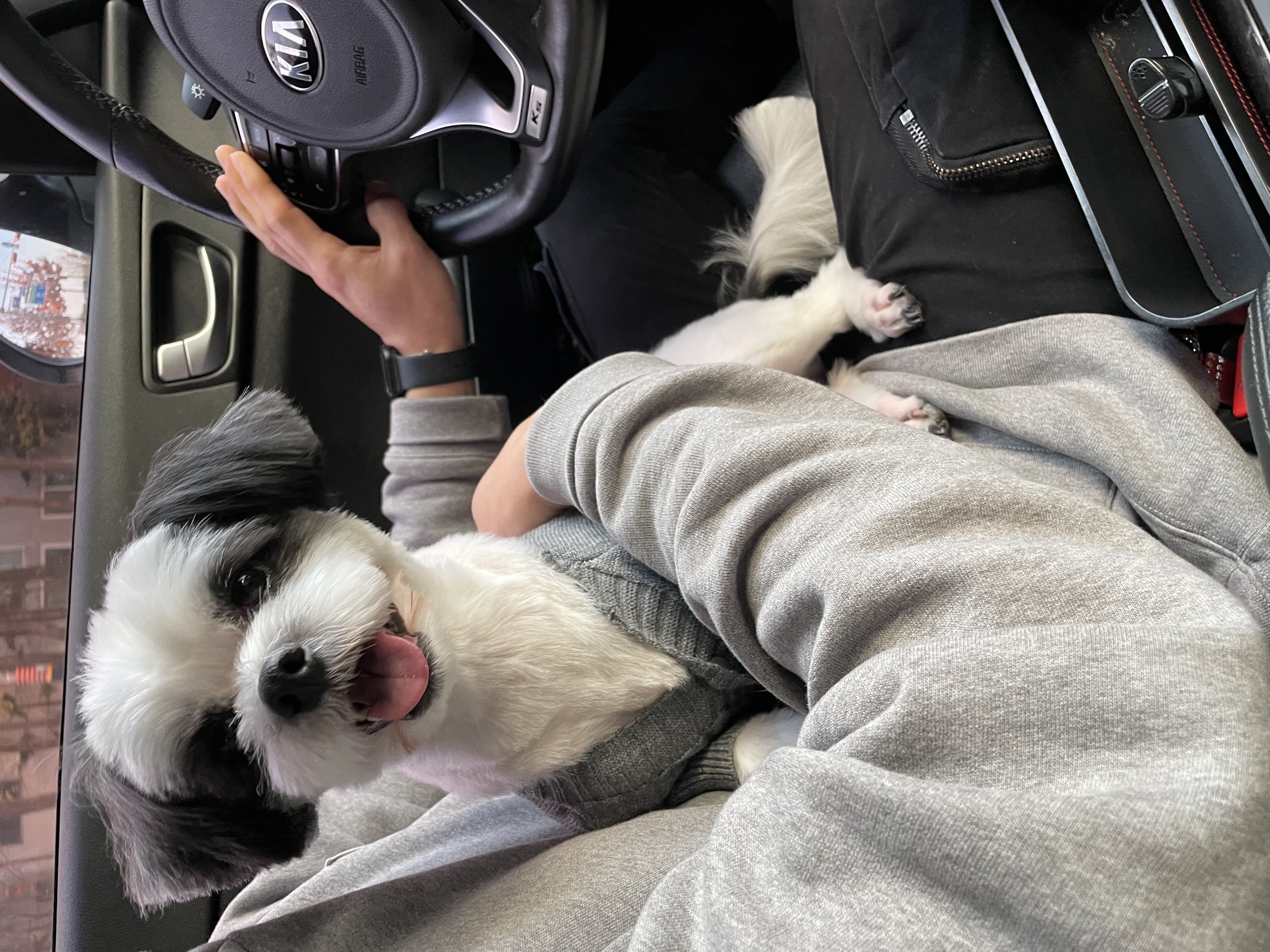 귀염둥이 샬롯(구 포아) 3개월 후기입니다!