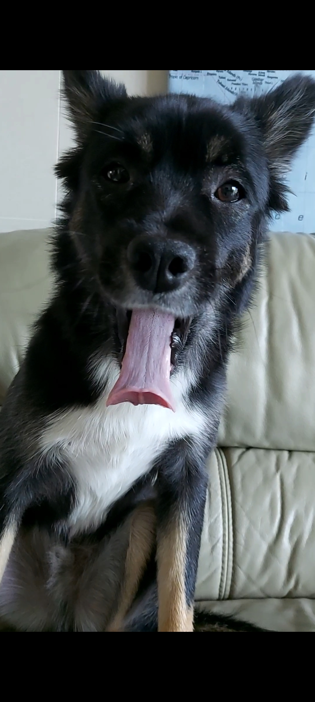 사라 잘 지내고 있어요...