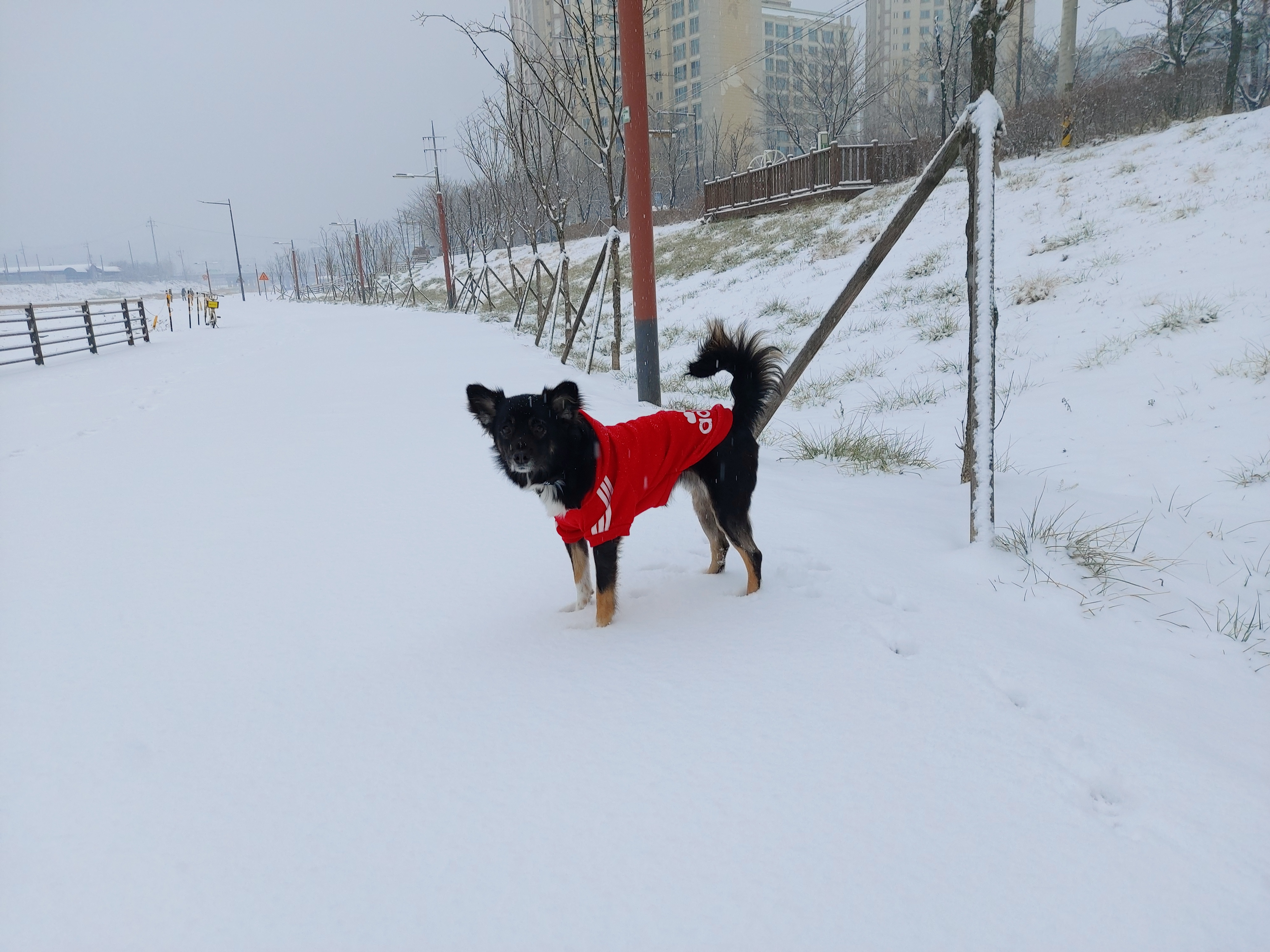 사라 잘 지내고 있어요...