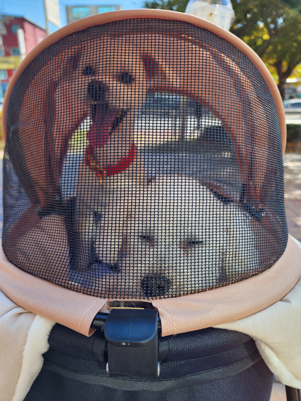 애교 그 잡채 린티 근황입니다♡