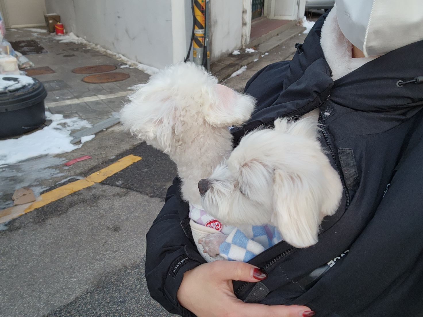 애교 그 잡채 린티 근황입니다♡