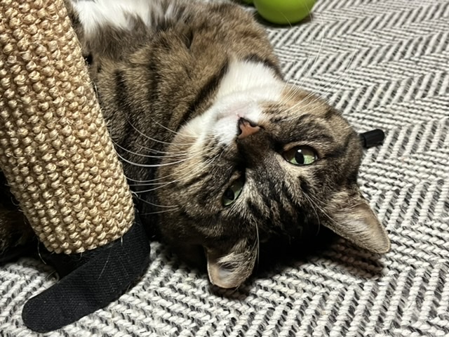 2022년에 나에게 와주어 고마워 비누 !