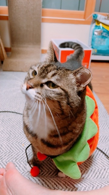 2022년에 나에게 와주어 고마워 비누 !