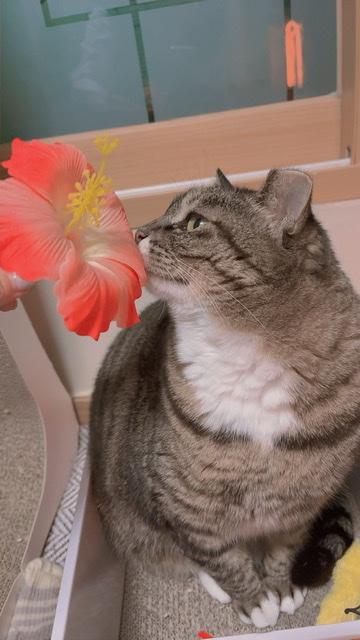 2022년에 나에게 와주어 고마워 비누 !