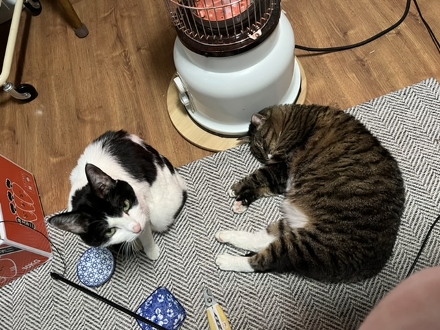 2022년에 나에게 와주어 고마워 비누 !