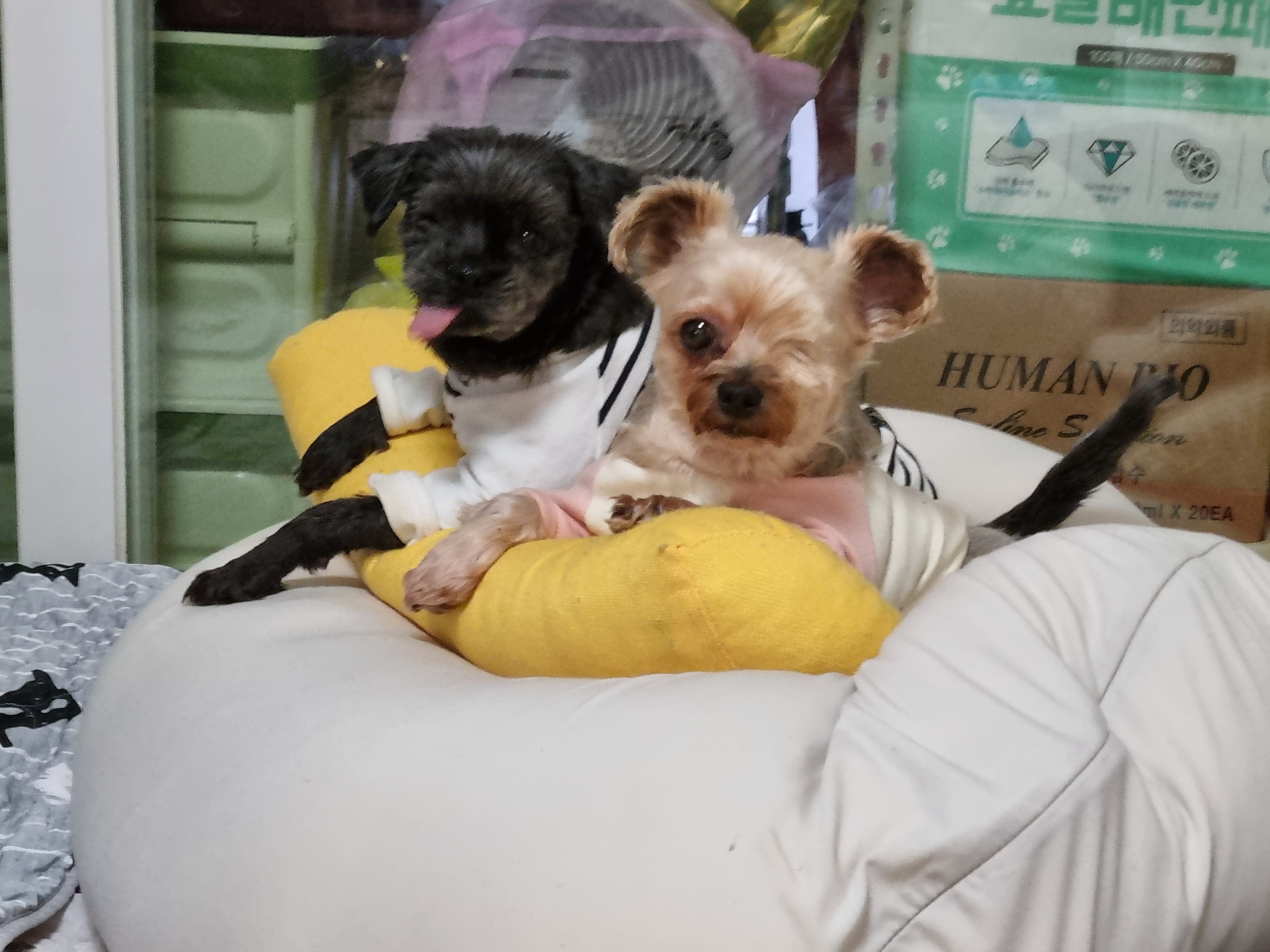 정하프.정소고  잘지내고 있어요