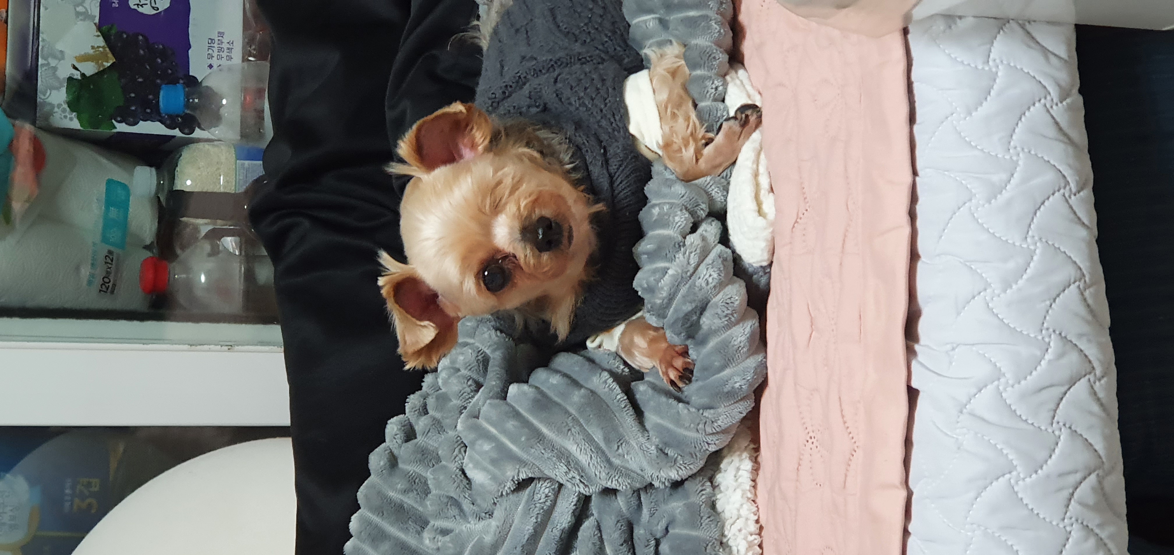 정하프.정소고  잘지내고 있어요