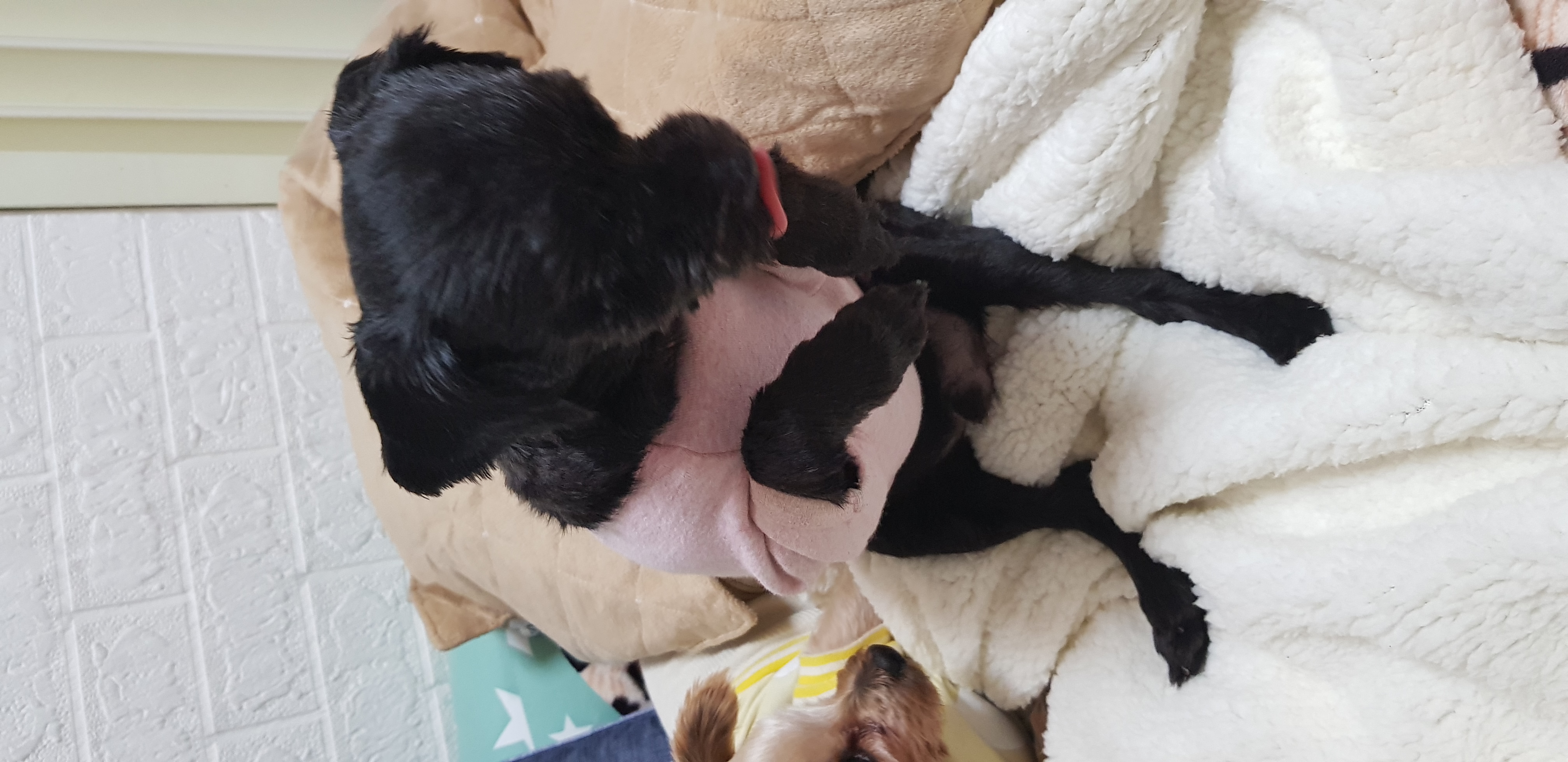 정하프.정소고  잘지내고 있어요