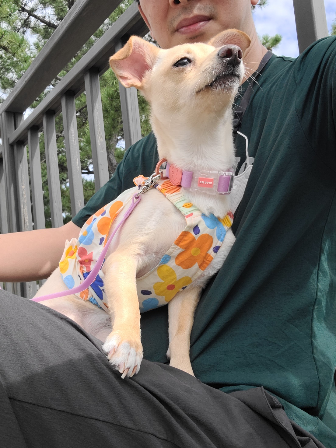 데이와 함께한지 벌써1년