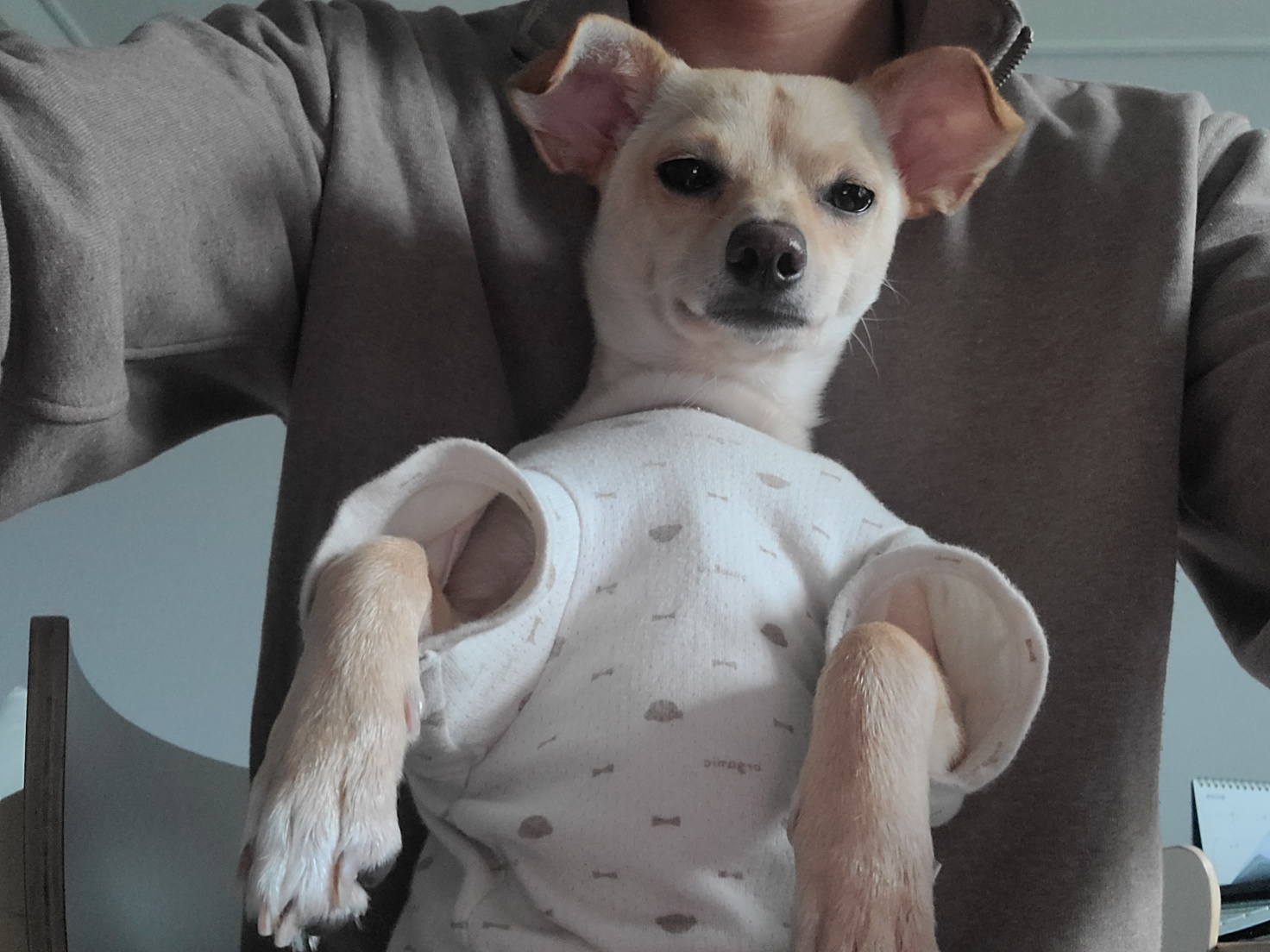 데이와 함께한지 벌써1년