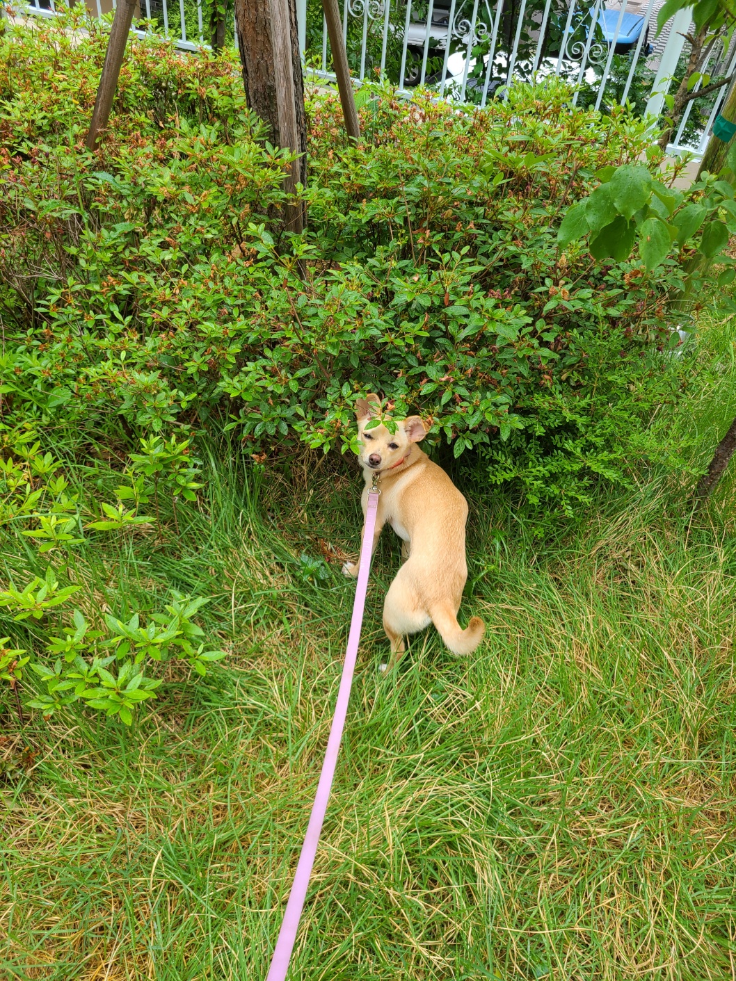 데이와 함께한지 벌써1년