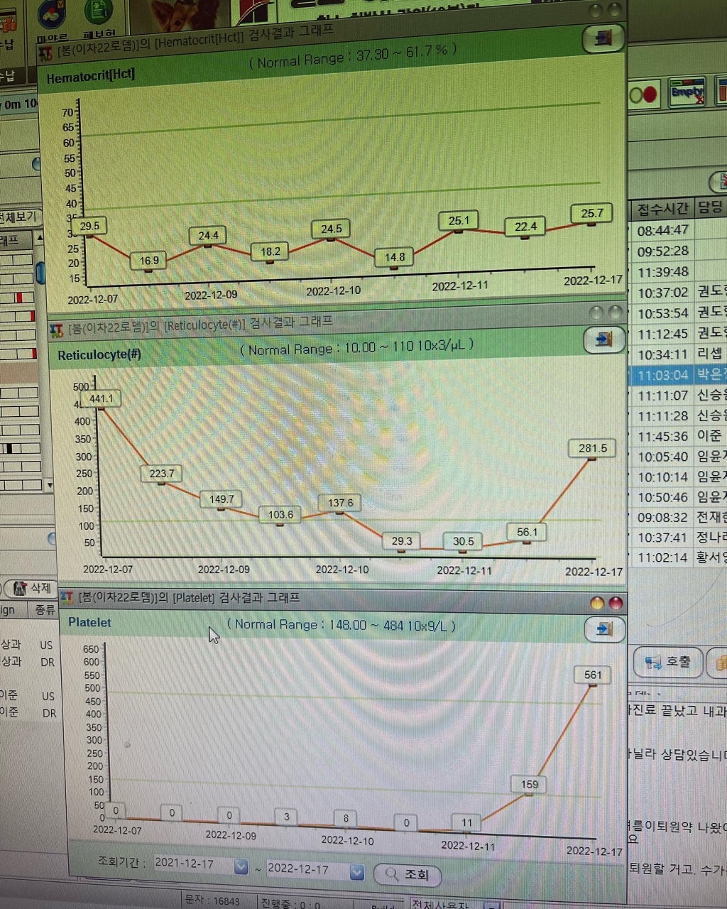 우리 봄이 견생 3회차 시작했어요.(보테)