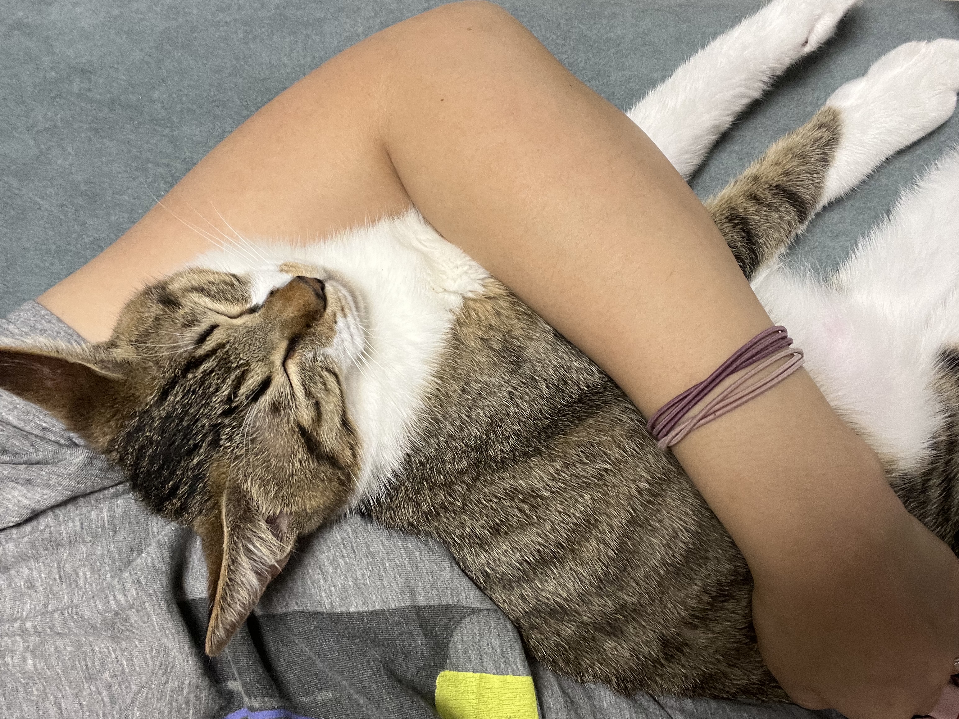 타바사(구 트윙클) 근황입니다❤️