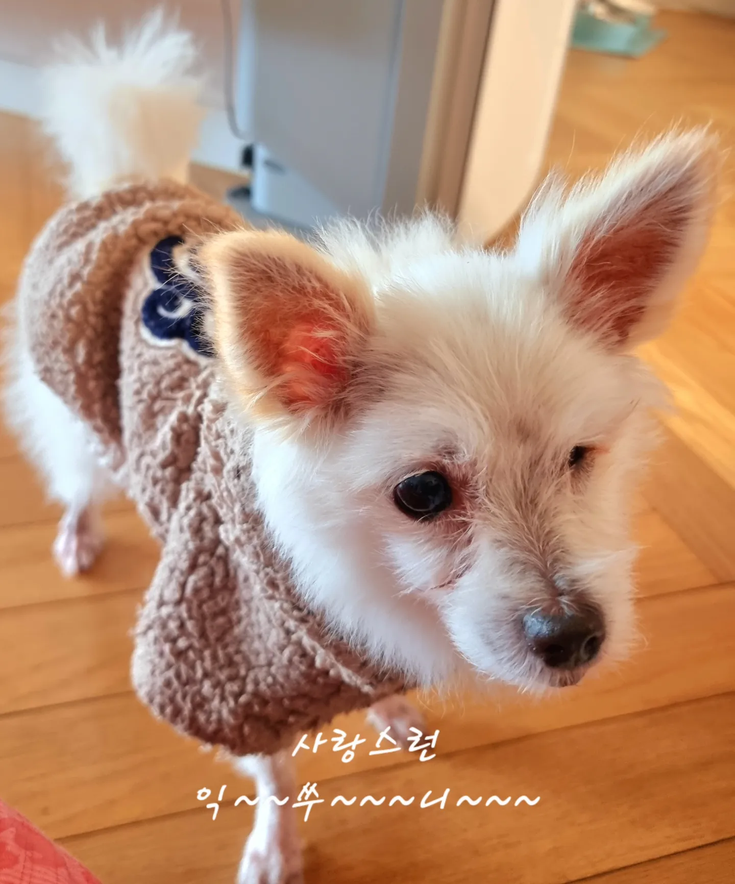 토끼같은 사랑스런 익순이~~