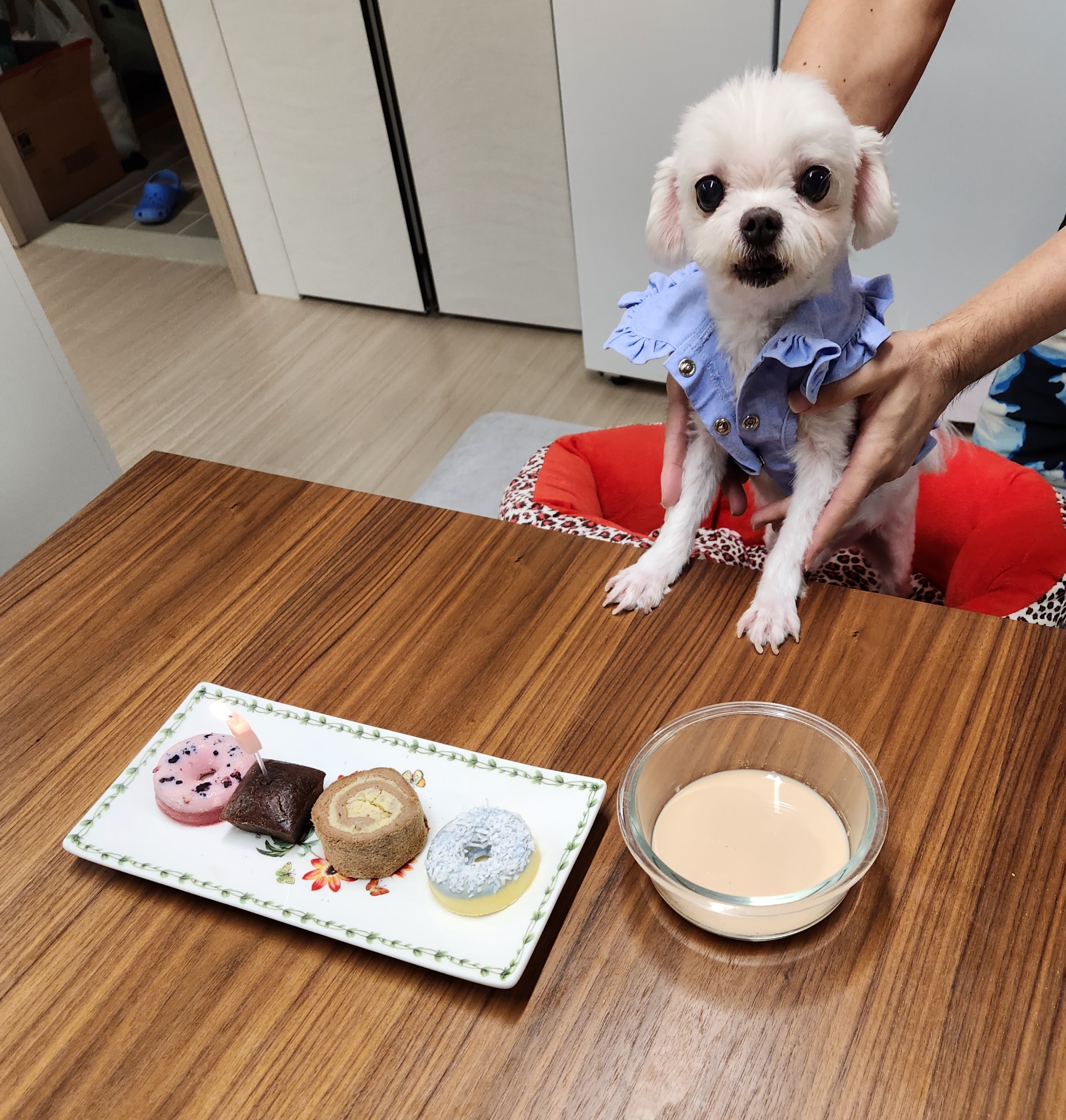 초롱이(치멍25)와 5년차가 되었어요!