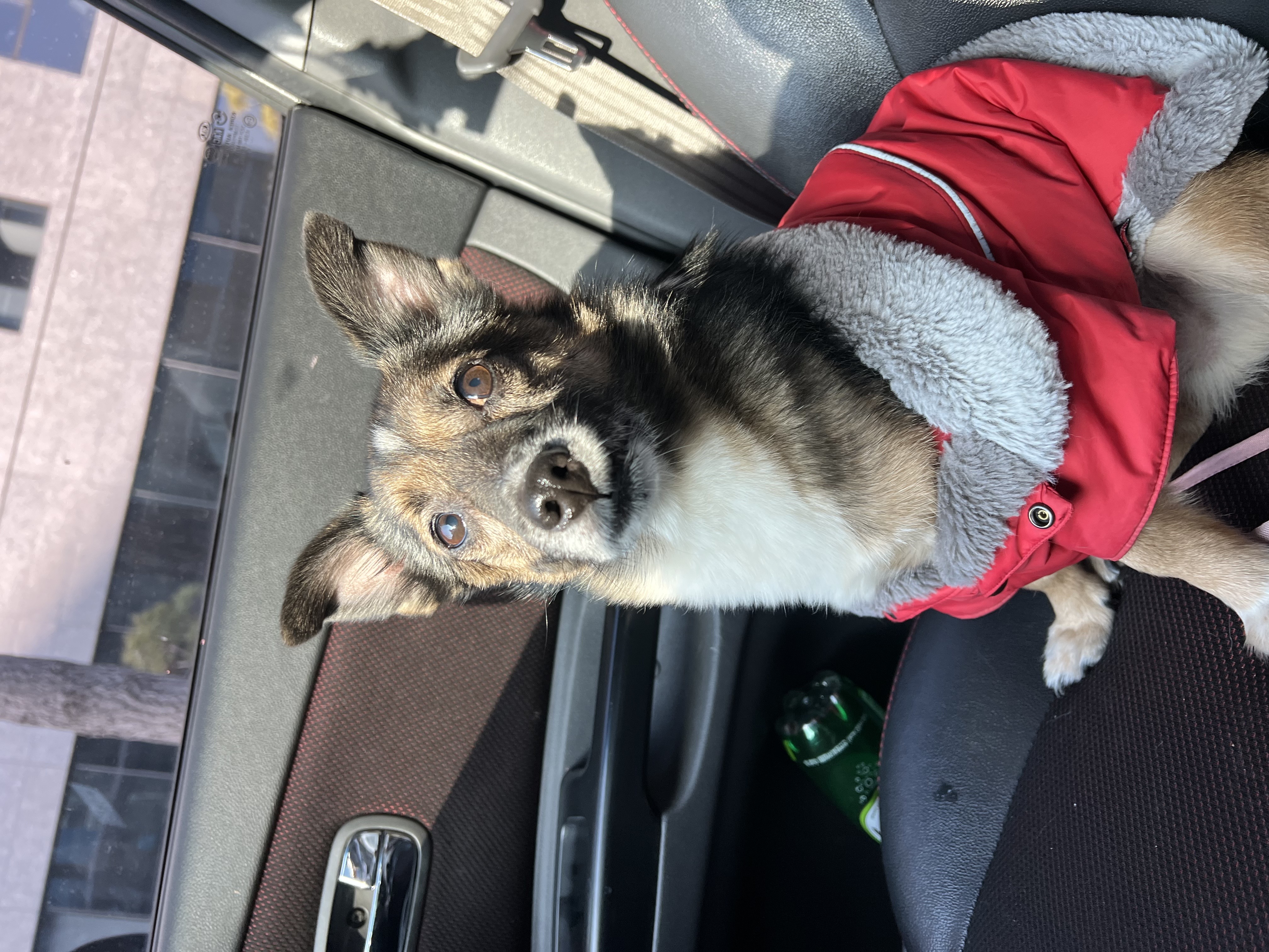 지로는 잘지내고 있어요 . 리복이