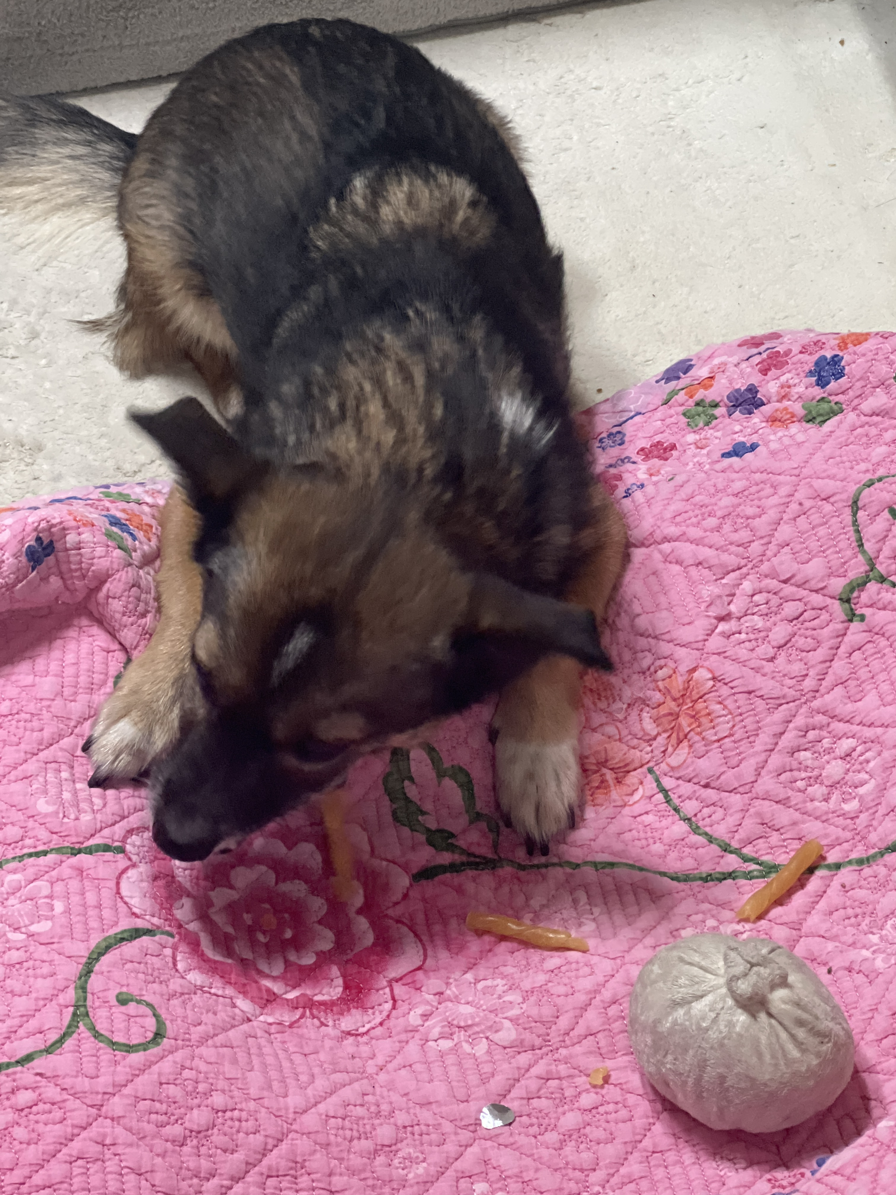 지로는 잘지내고 있어요 . 리복이